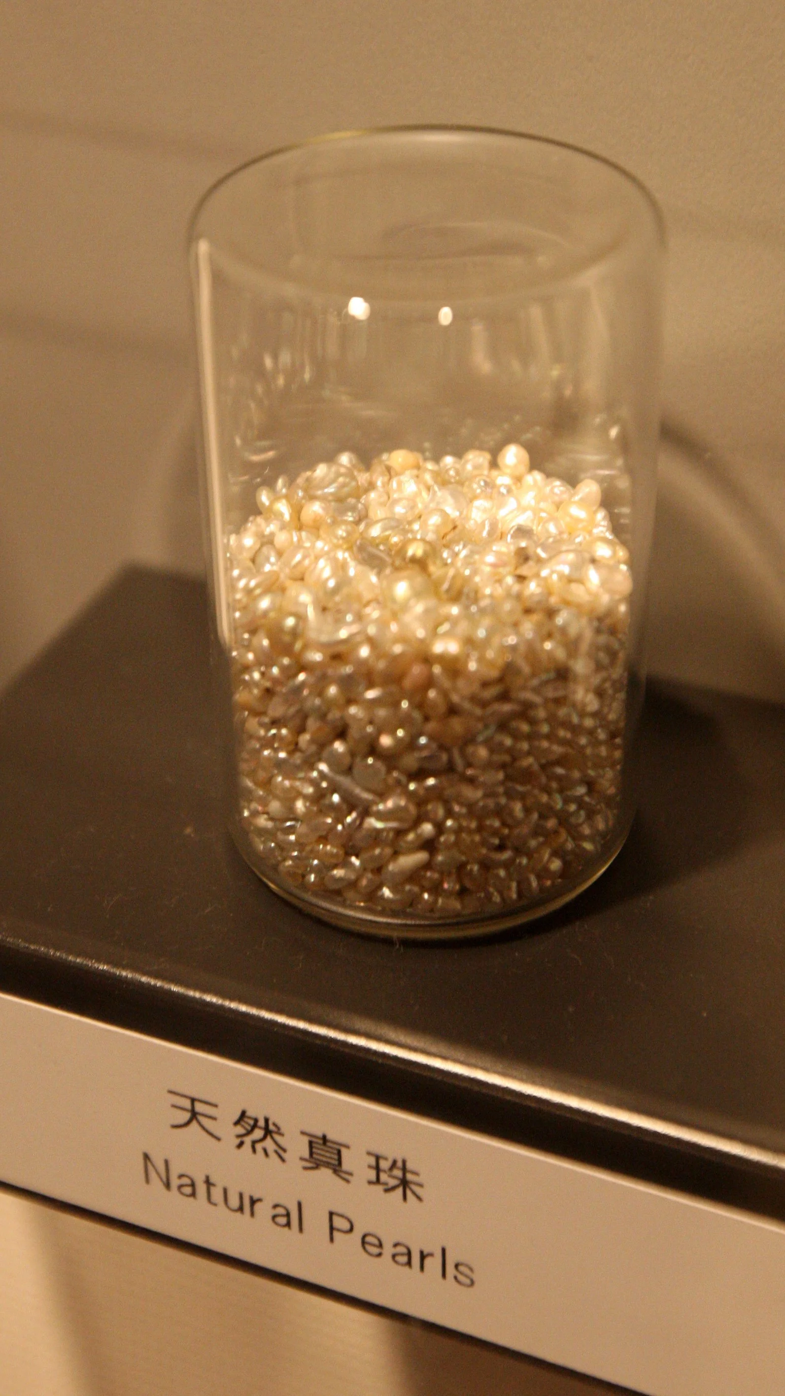 MIKIMOTO PEARL ISLAND AND MUSEUM - TOBA JAPAN (10).JPG