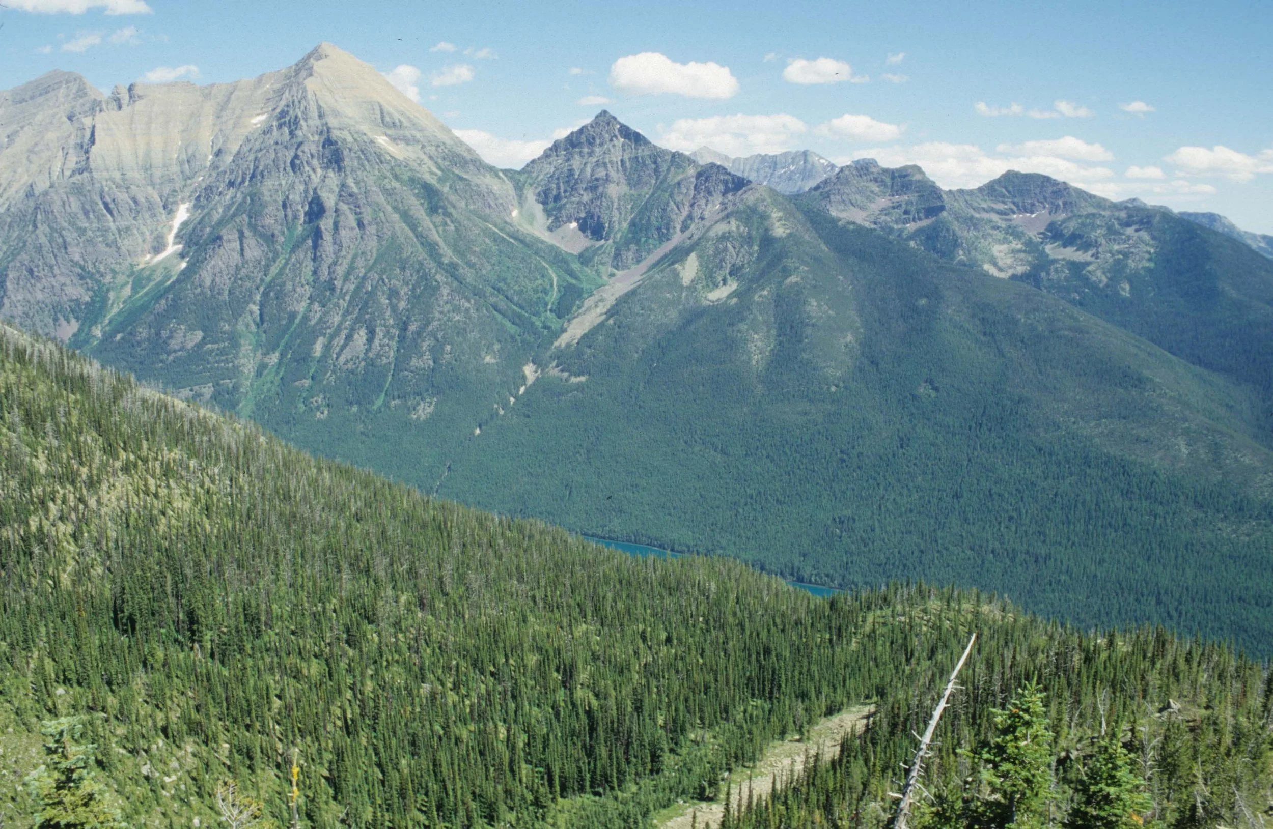MONTANA - GLACIER - GLACIER NATIONAL PARK VIEWS (8).jpg