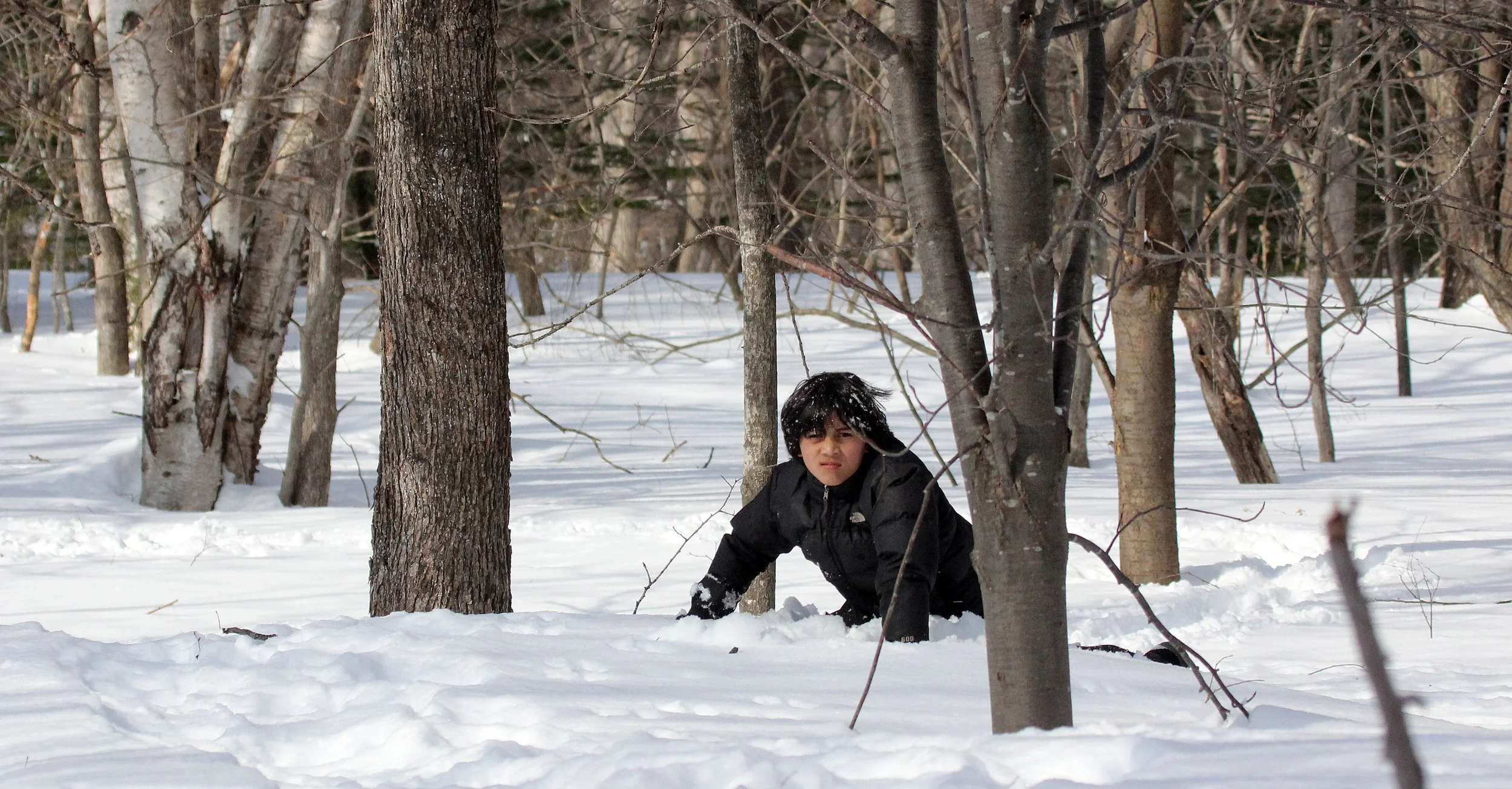 Kinohiroba Forest searching for Hokkaido Red Squirrel