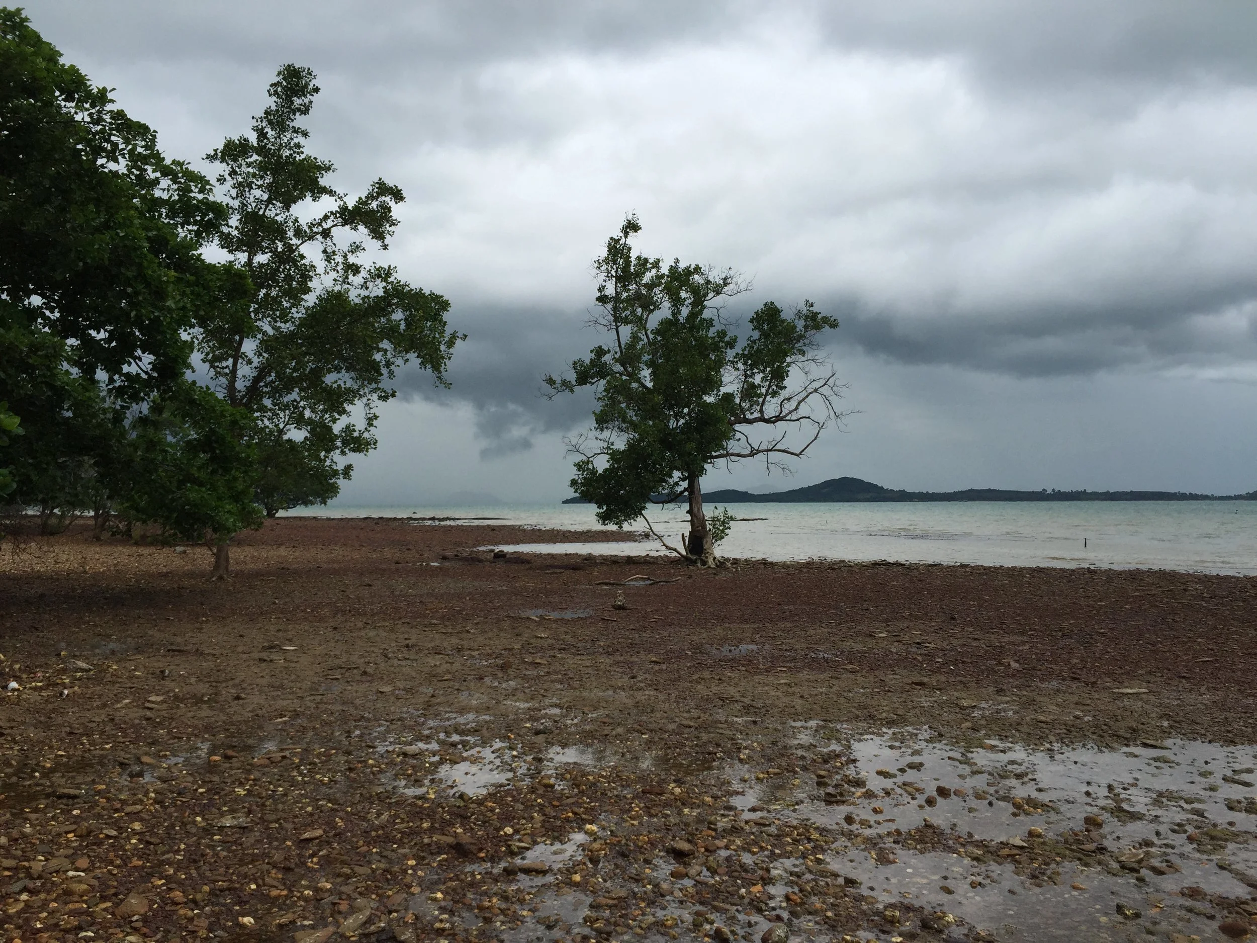 2015 Koh Lanta Garden & Nature (203).JPG