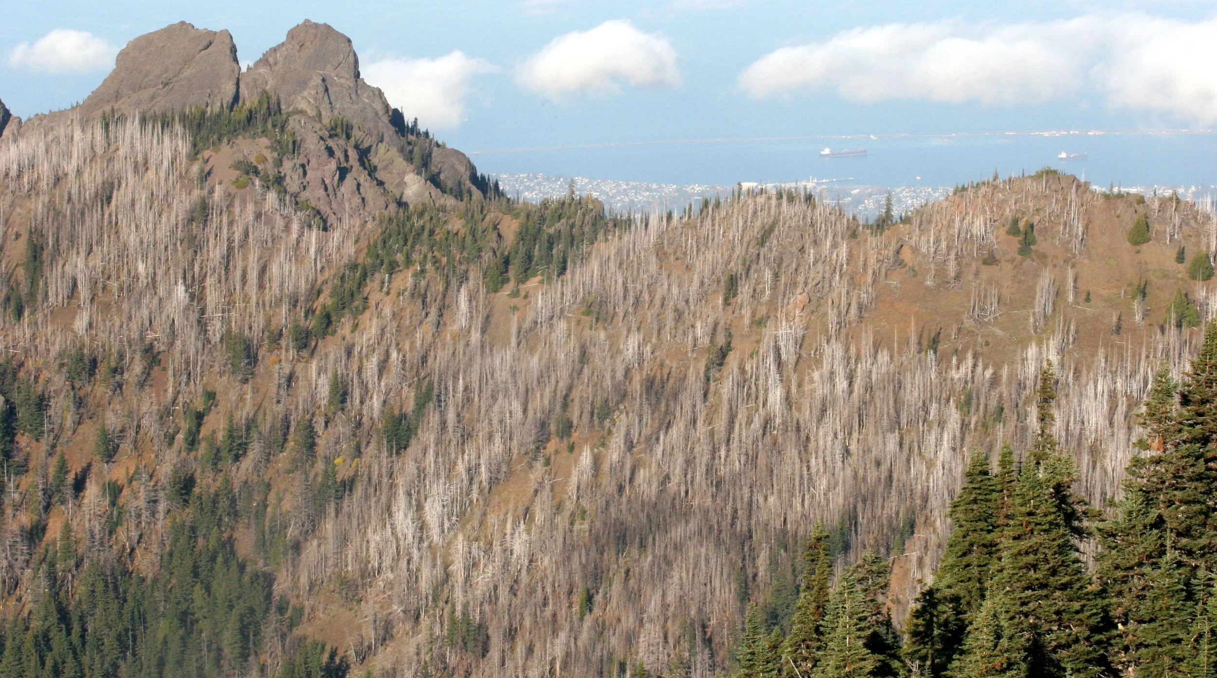 HURRICANE RIDGE - BURN ZONE (3).JPG