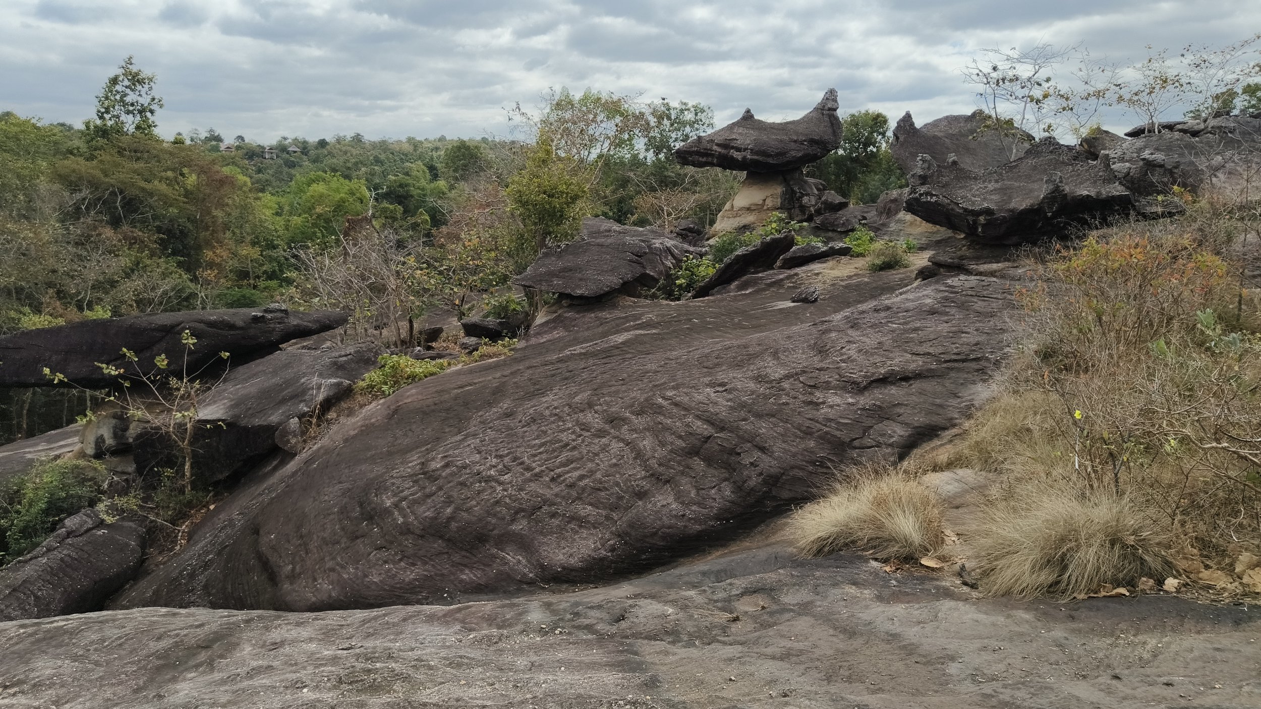  Phu Pha Thoep National Park - Mukdahan Thailand (37).jpg