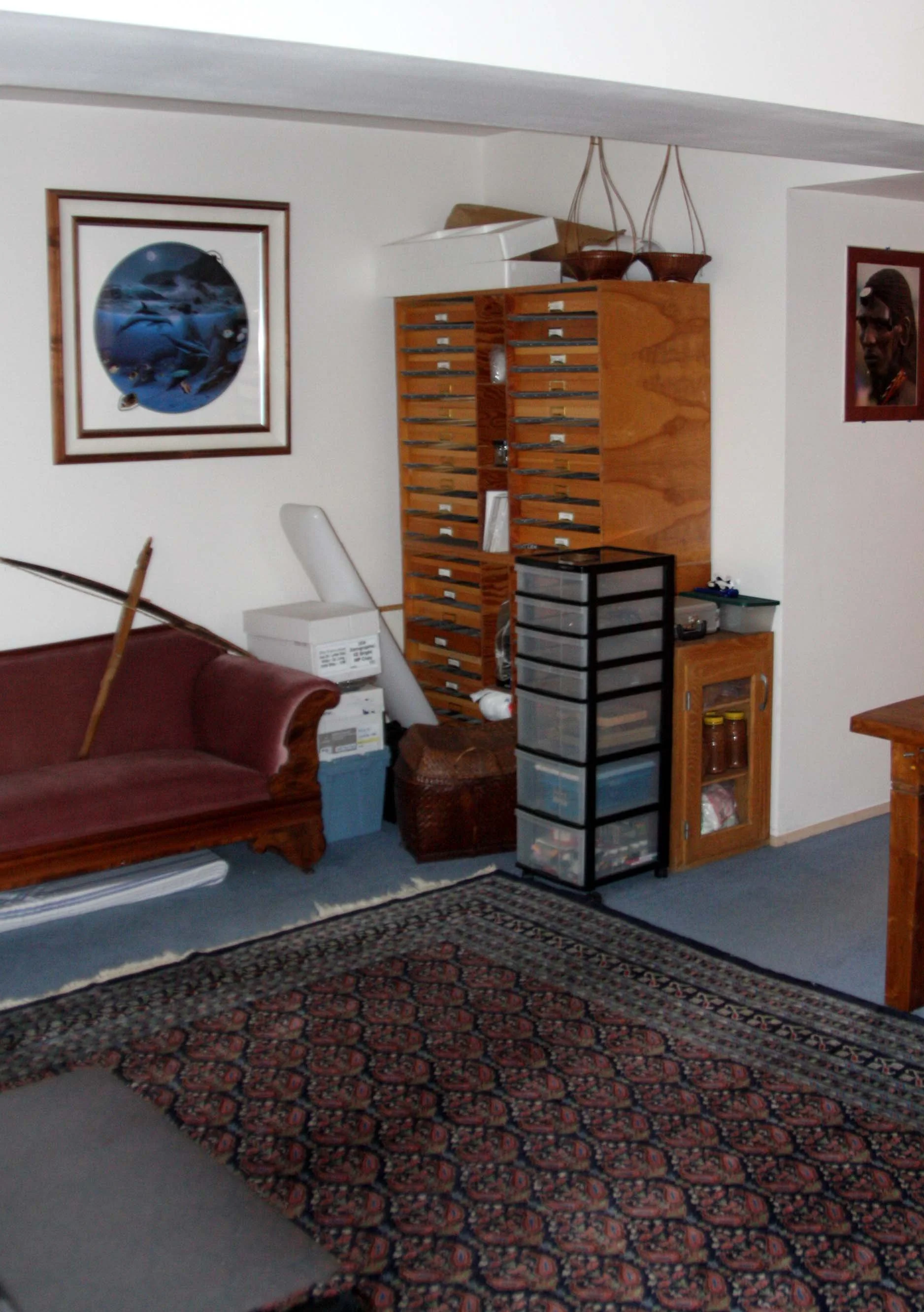 2009-4-24 - HOUSE - BONUS LIVING ROOM - FIRST LEVEL.JPG