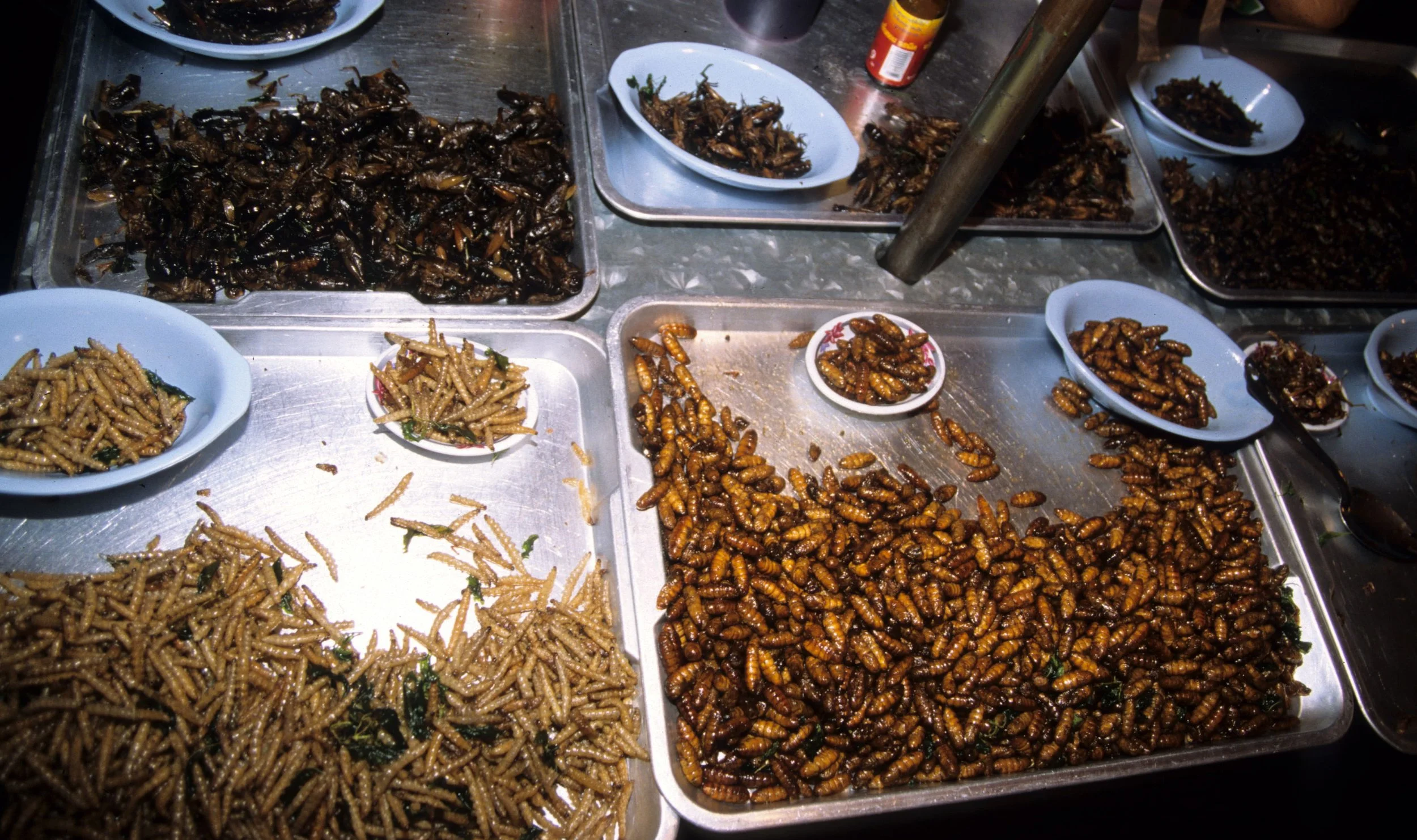 2004 Nakhonsithammarat Markets, Monks and Baby Cokie (38).jpg