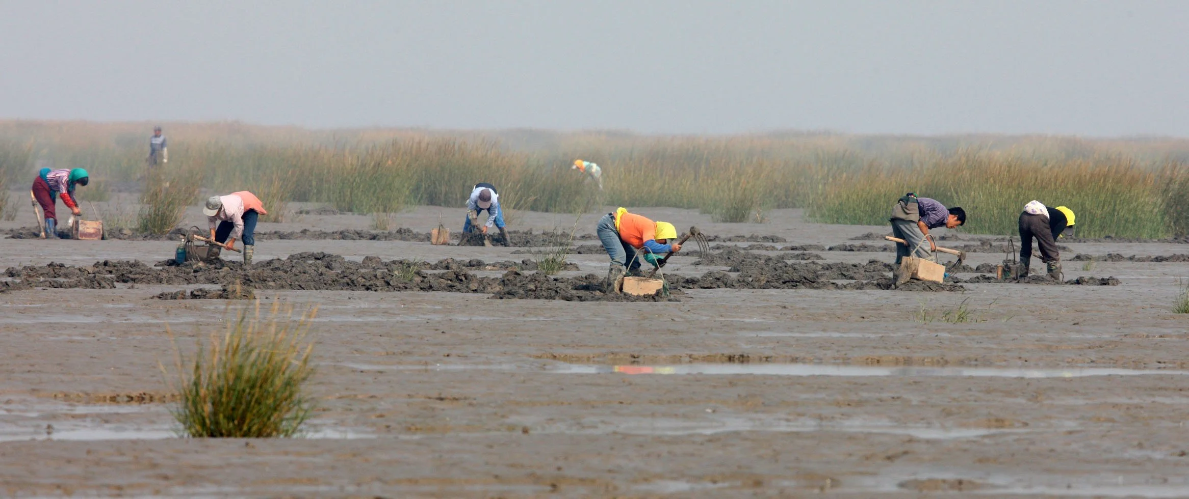 RUDONG, CHINA (2).JPG