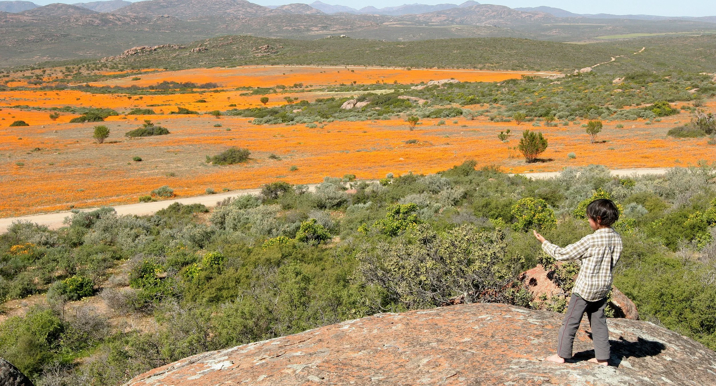 NAMAQUALAND SOUTH AFRICA - VIEWING THE WILDFLOWERS (7).JPG