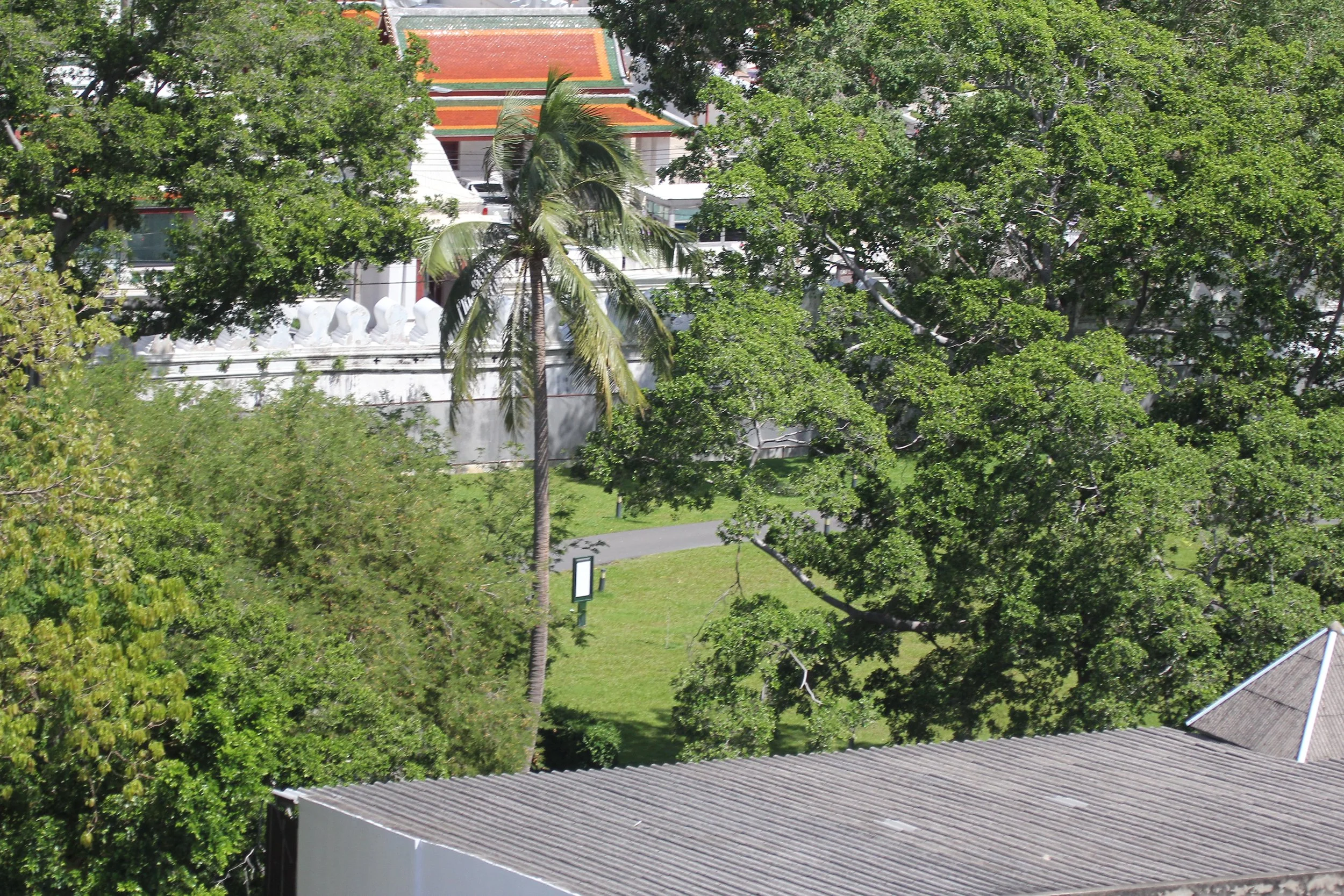2020 Wat Saket - Wat Phu Khao Thong Bangkok - Views of City (82).JPG