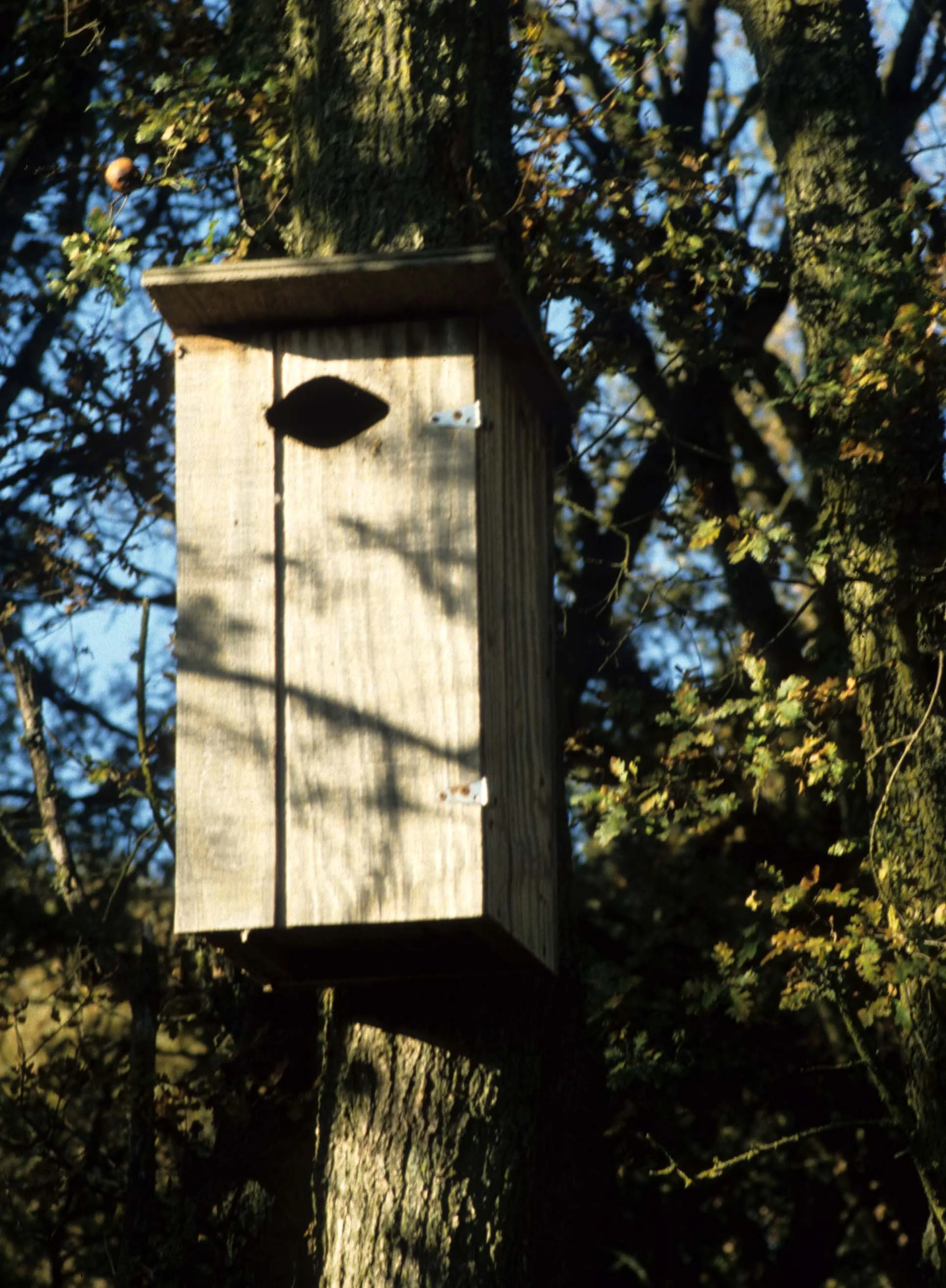 CALIFORNIA - COSUMNES RIVER PRESERVE - BIRD HOUSE.jpg