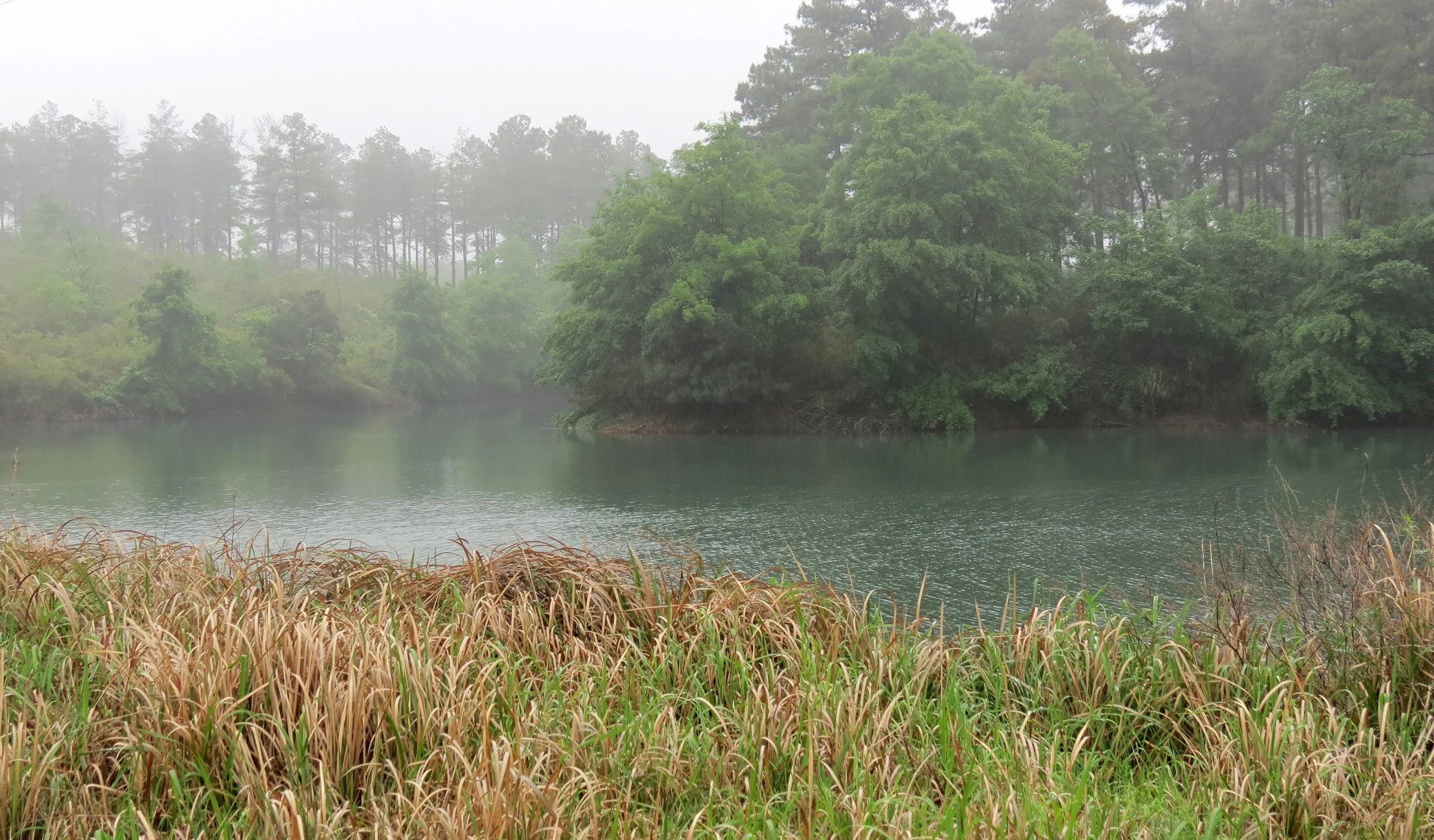 CHINESE ALLIGATOR BREEDING CENTER - XUANCHENG CHINA (9).JPG
