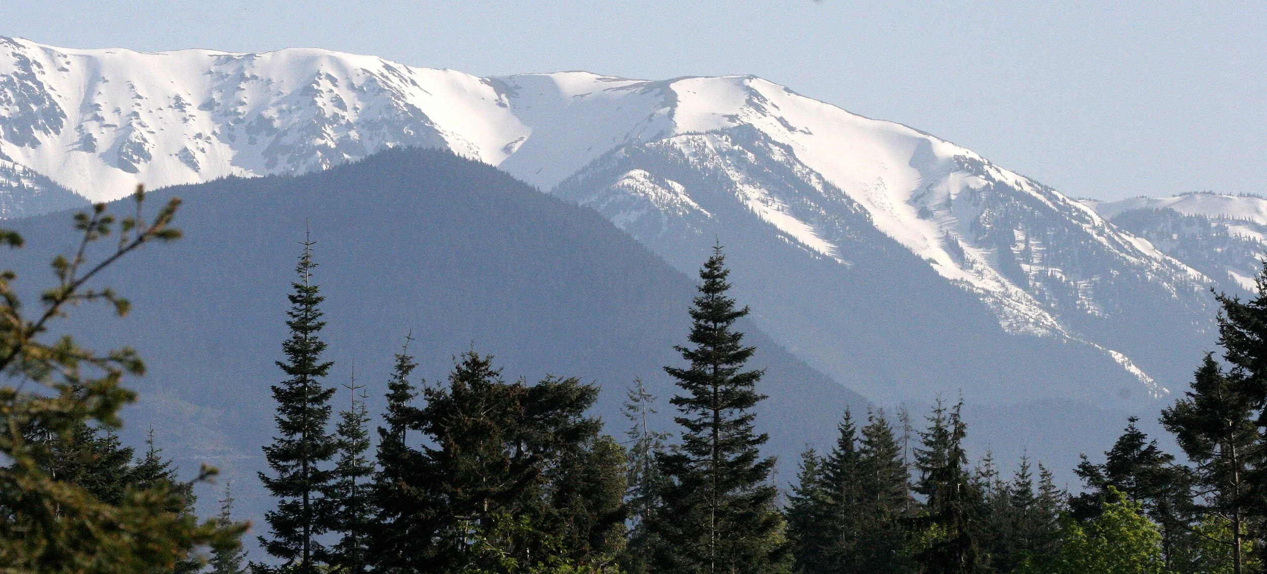 KLAHANE RIDGE FROM LAKE FARM  (5).JPG