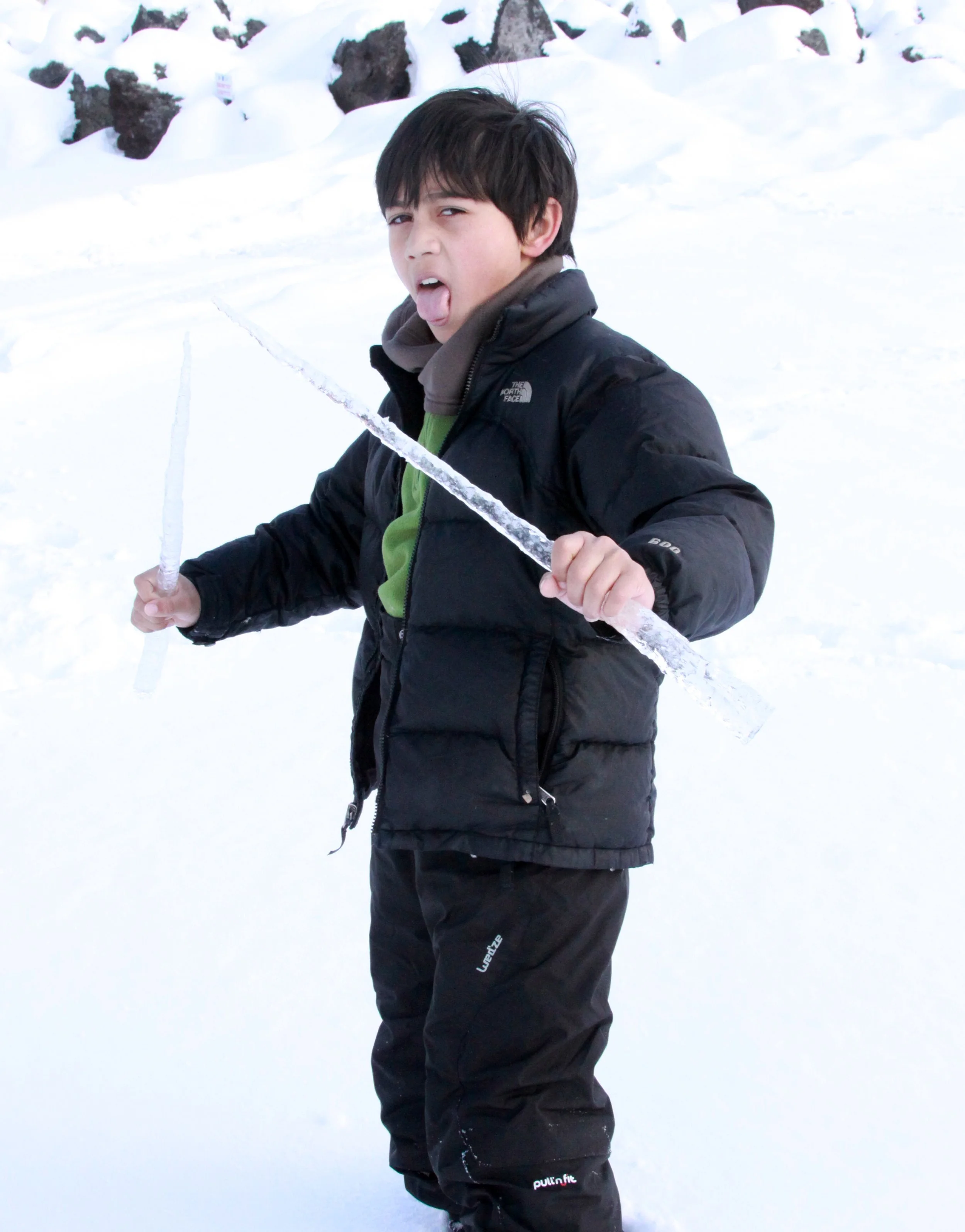 MOUNT ASAMA - JOSHIN'ETSUKOGEN NATIONAL PARK JAPAN (120).JPG