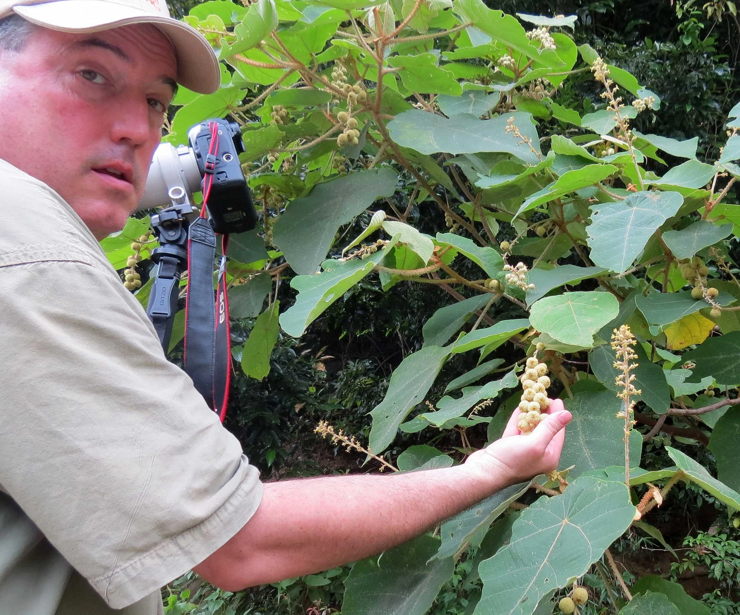 SON TRA PENINSULA - COKIE'S IMAGES (10).JPG