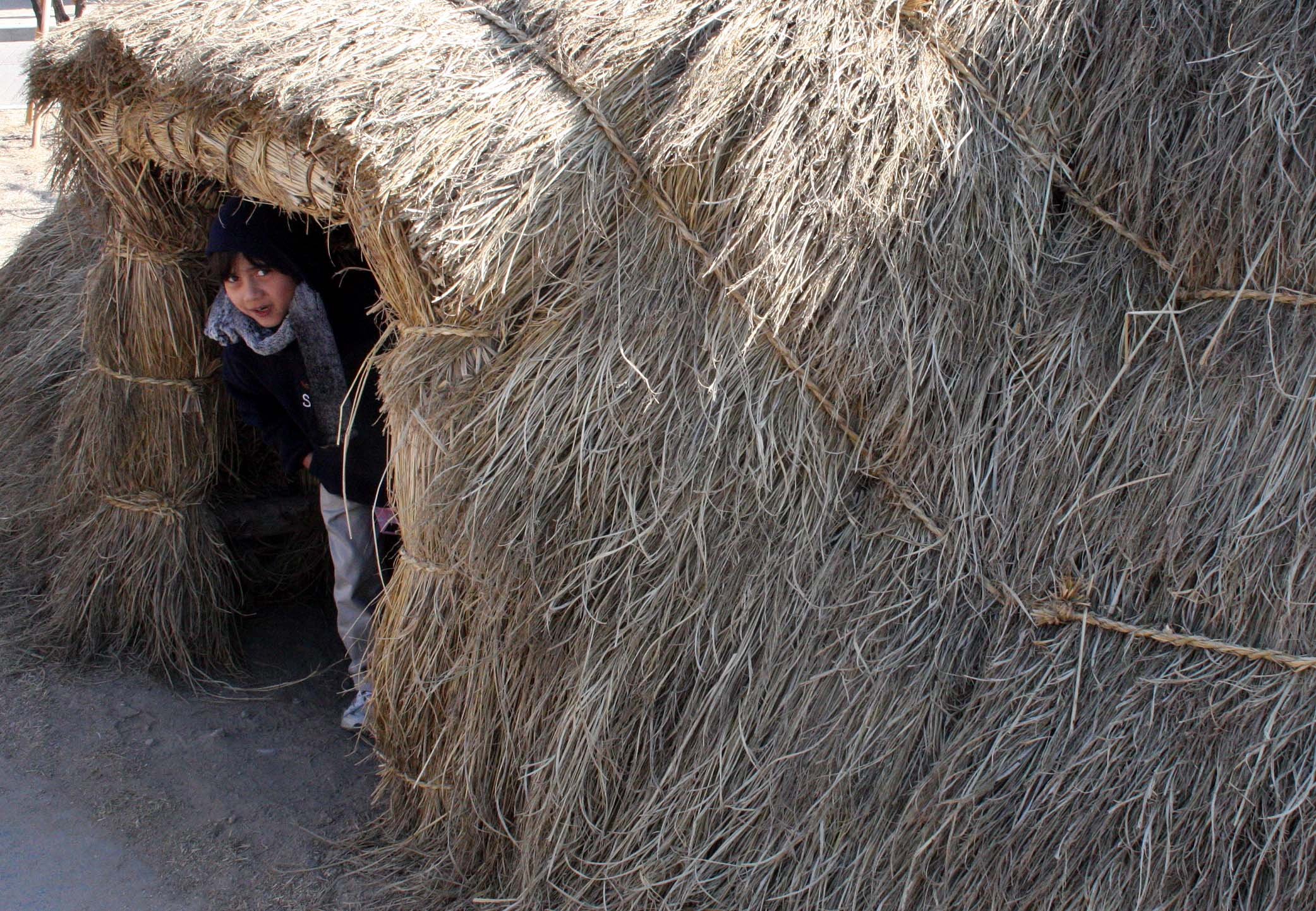 SEOUL - IMPERIAL PALACE - JAN 2009 (101).JPG