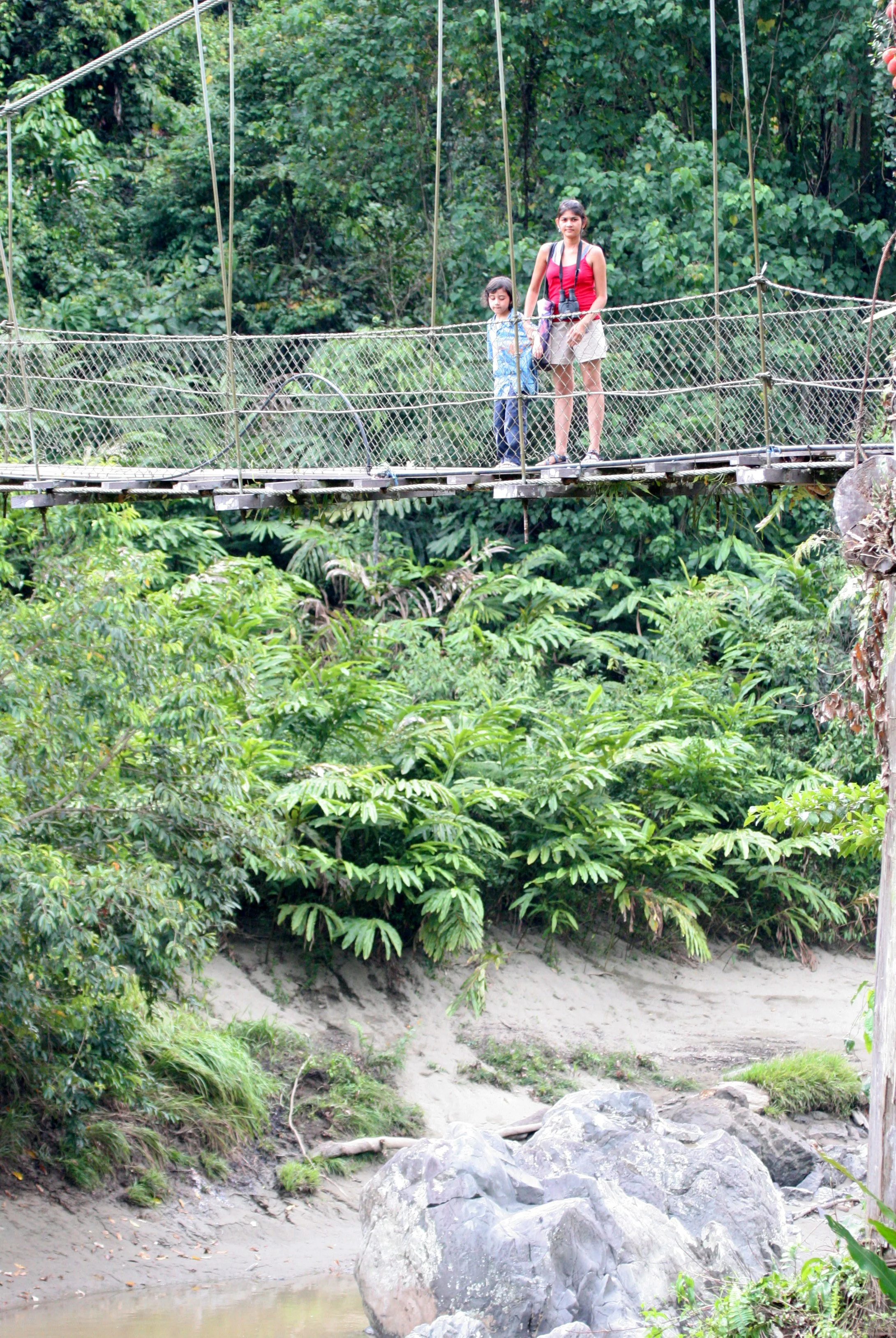 DANUM VALLEY BORNEO - VIEWS OF RIVER (2).JPG