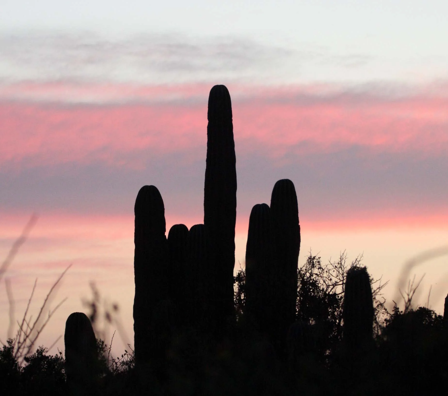 ISLA SANTA CATALINA BAJA MEXIO - SUNSET LANDSCAPES (28).JPG