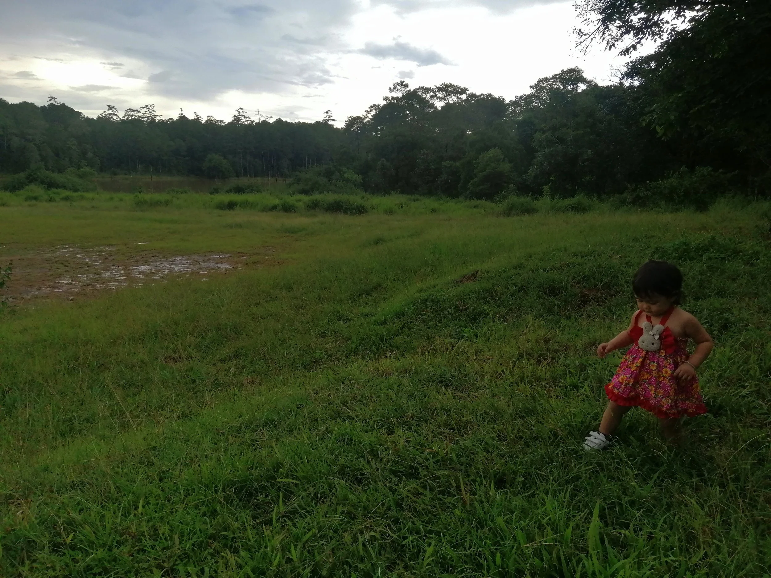 2021 Doi Inthanon Road Trip with Gift and Liana (102).jpg