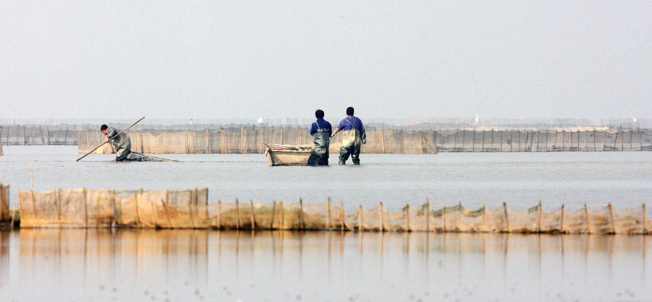 NANJI HILL RESERVE - POYANG LAKE CHINA (4).JPG