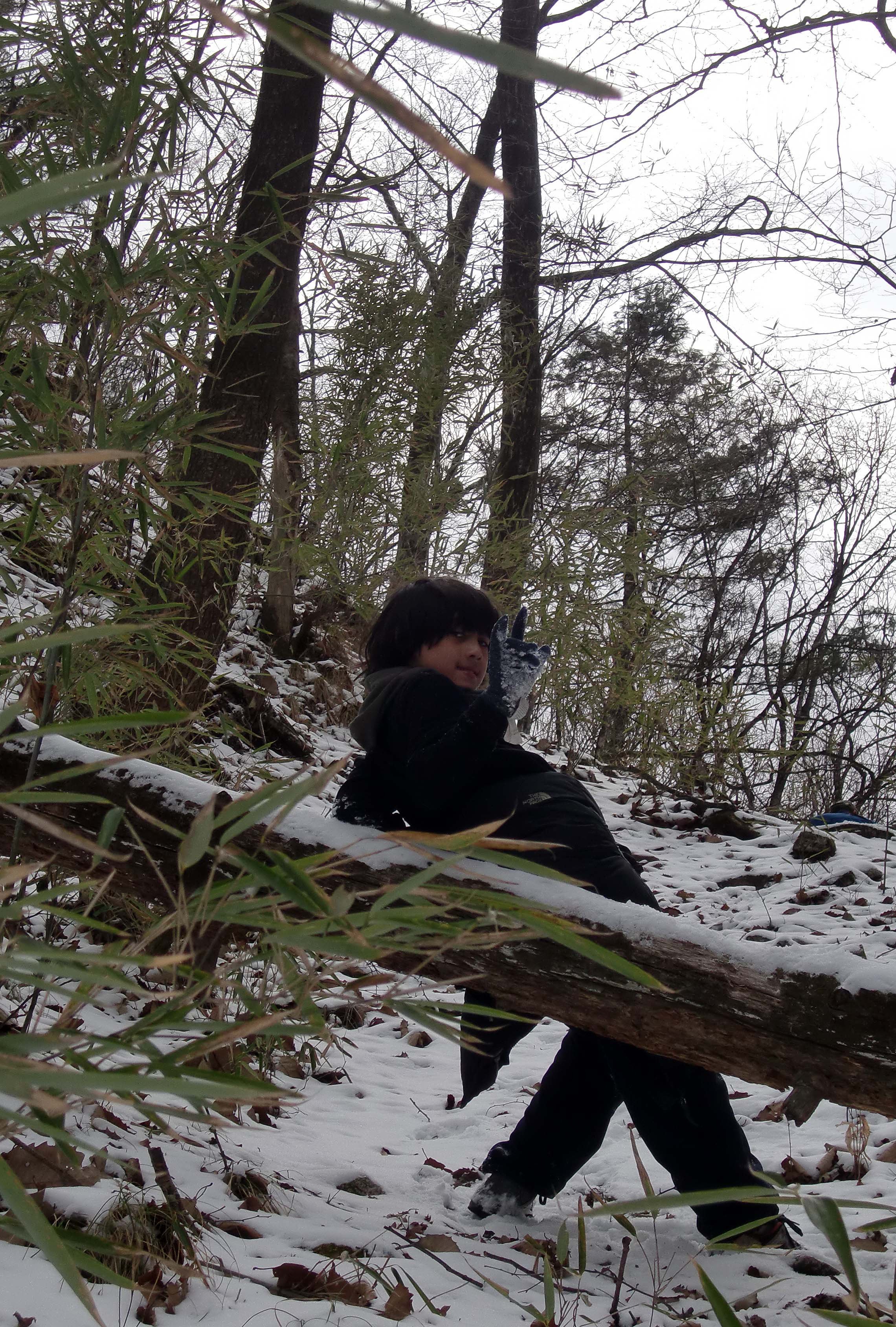 FOPING NATURE RESERVE - SHAANXI PROVINCE CHINA (75).JPG