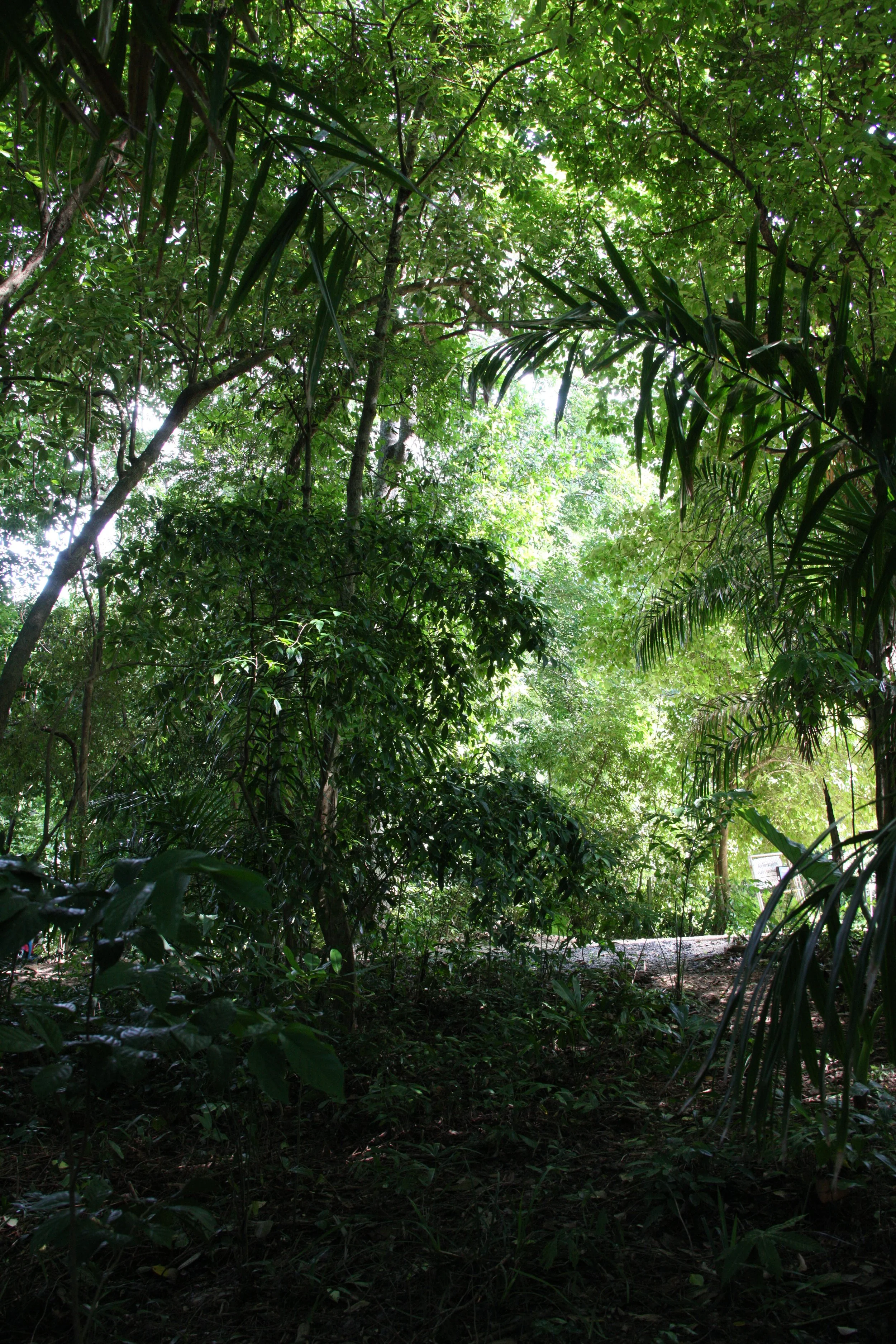 2016 Koh Lanta Landscapes, House Pictures and Family Fun (642).JPG