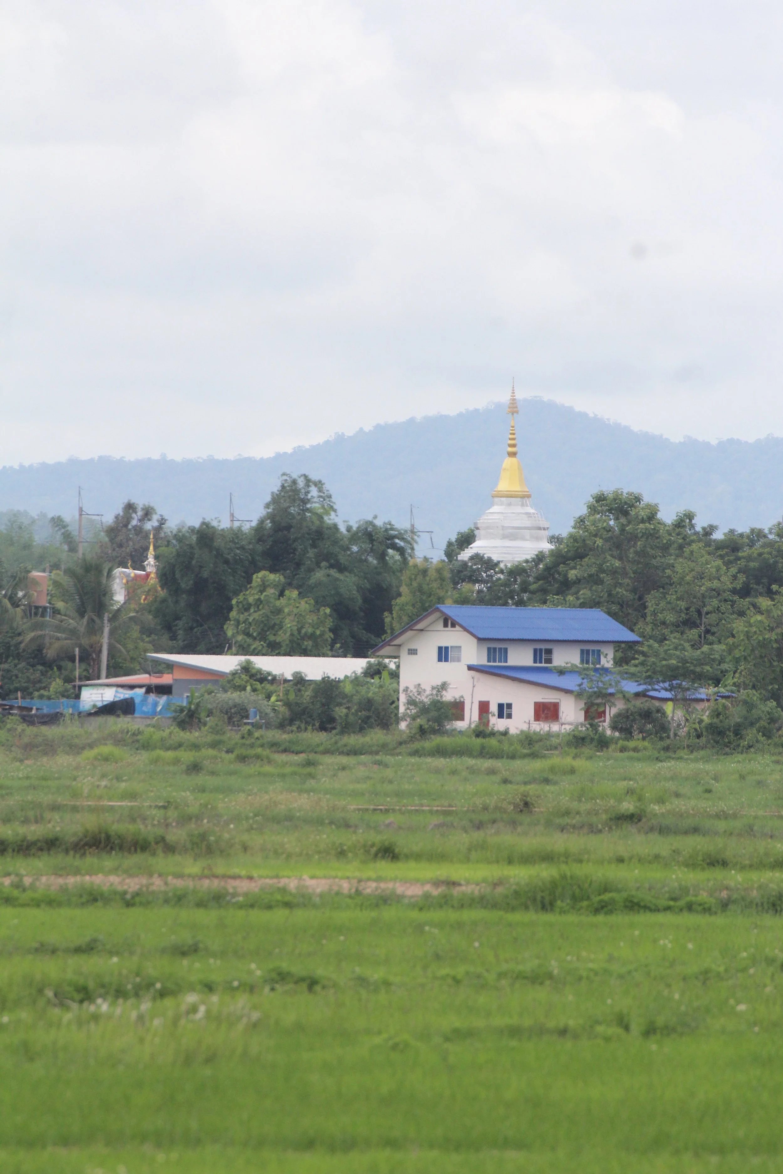 2020 4-5 July Nan Province North Thailand Tirp (7).JPG