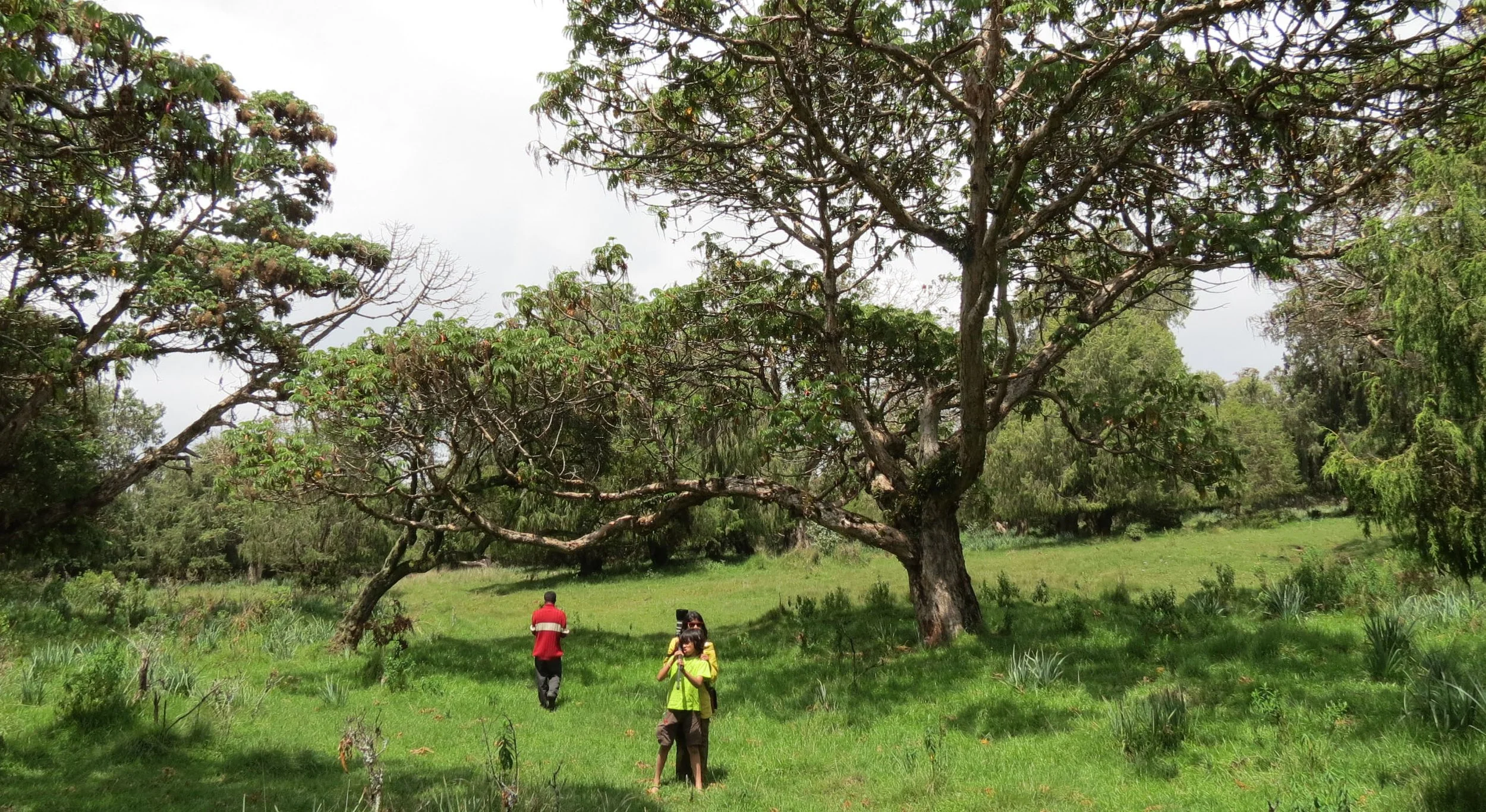 BALE MOUNTAINS NATIONAL PARK ETHIOPIA DINSHO (2).JPG