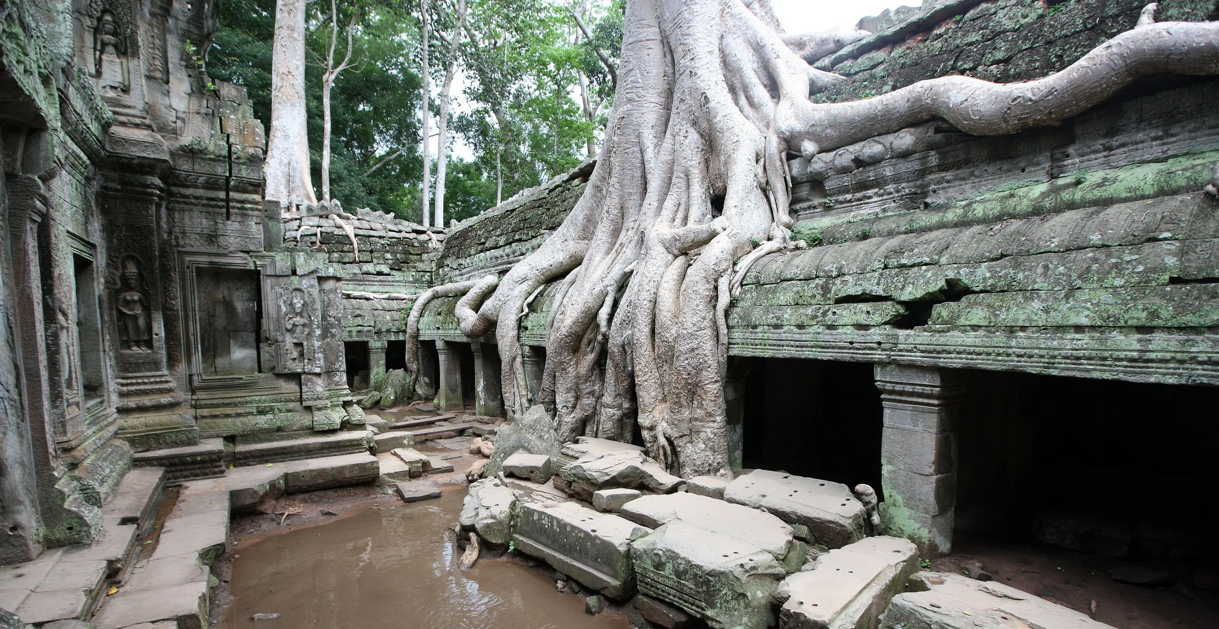 TA PROHM TEMPLE CAMBODIA - JULY 2010 (26).JPG