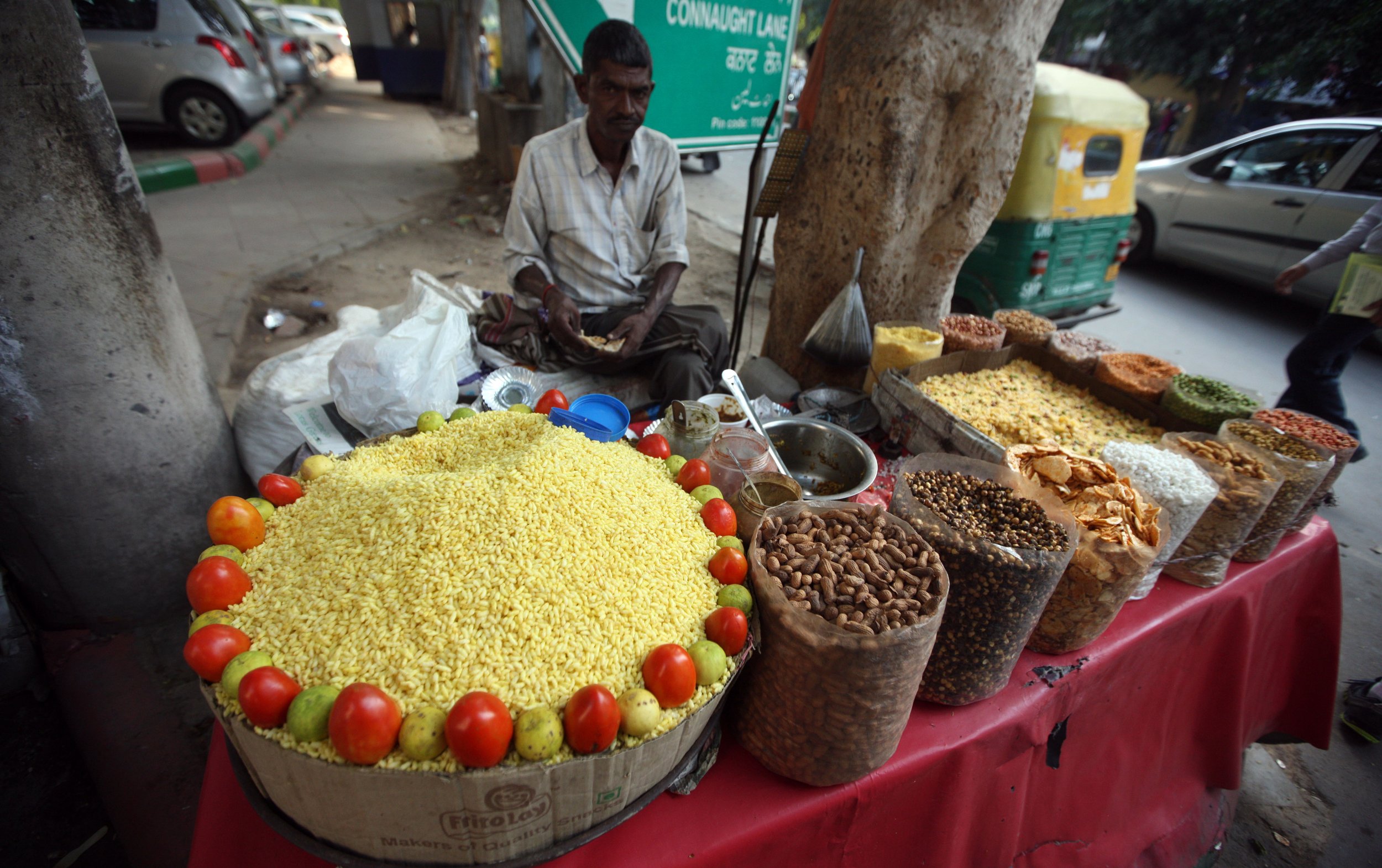OLD DELHI INDIA - SNOW LEOPARD TRIP 2014 (4).JPG