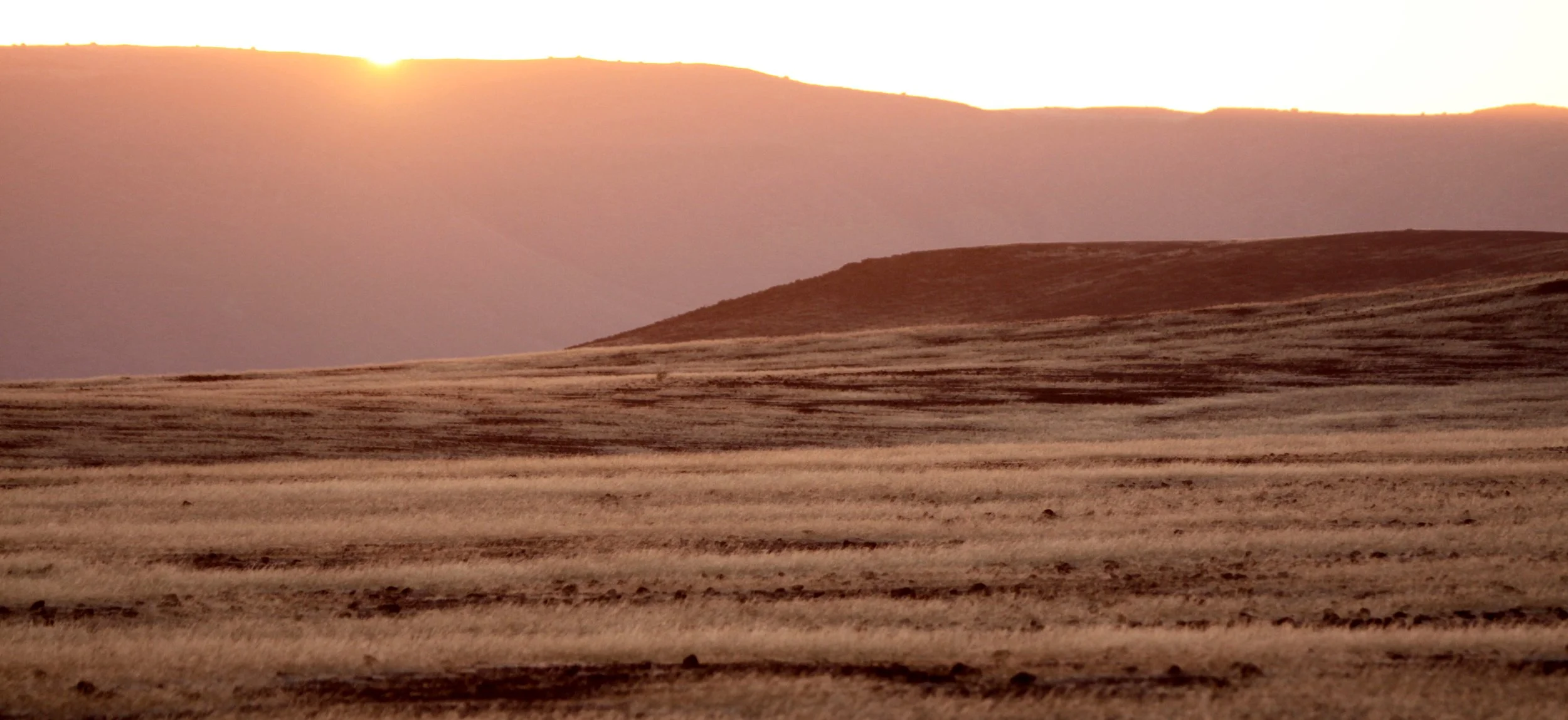 NAMIBIA - SKELETON COAST NATIONAL PARK - EAST ENTRANCE (11).JPG