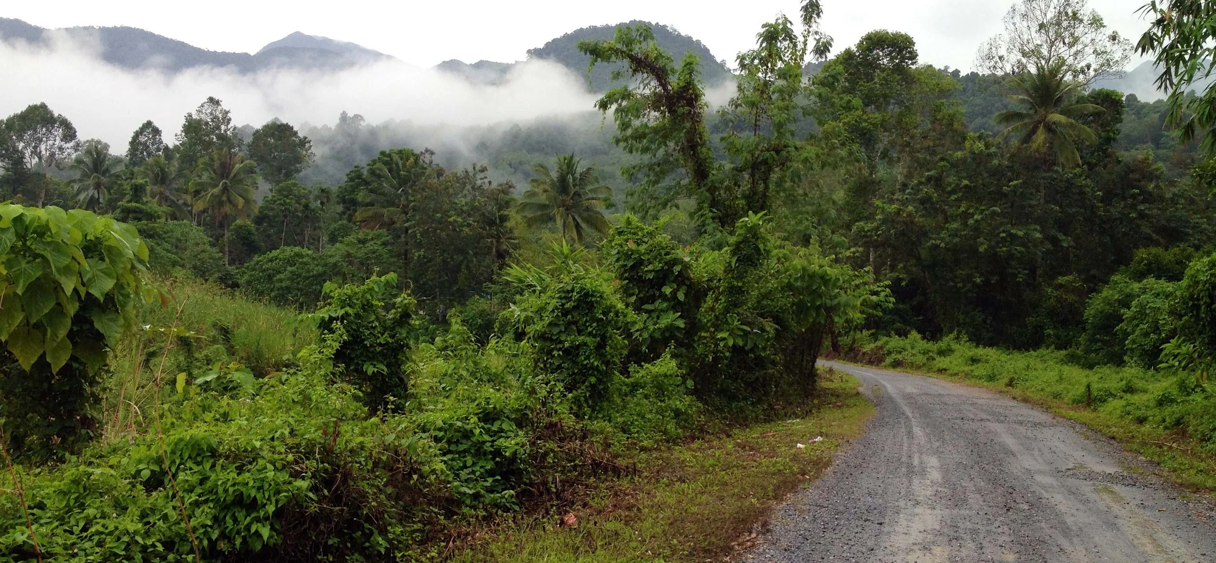 2013 in Nakhonsithammarat and some Krabi with Family (256).jpg