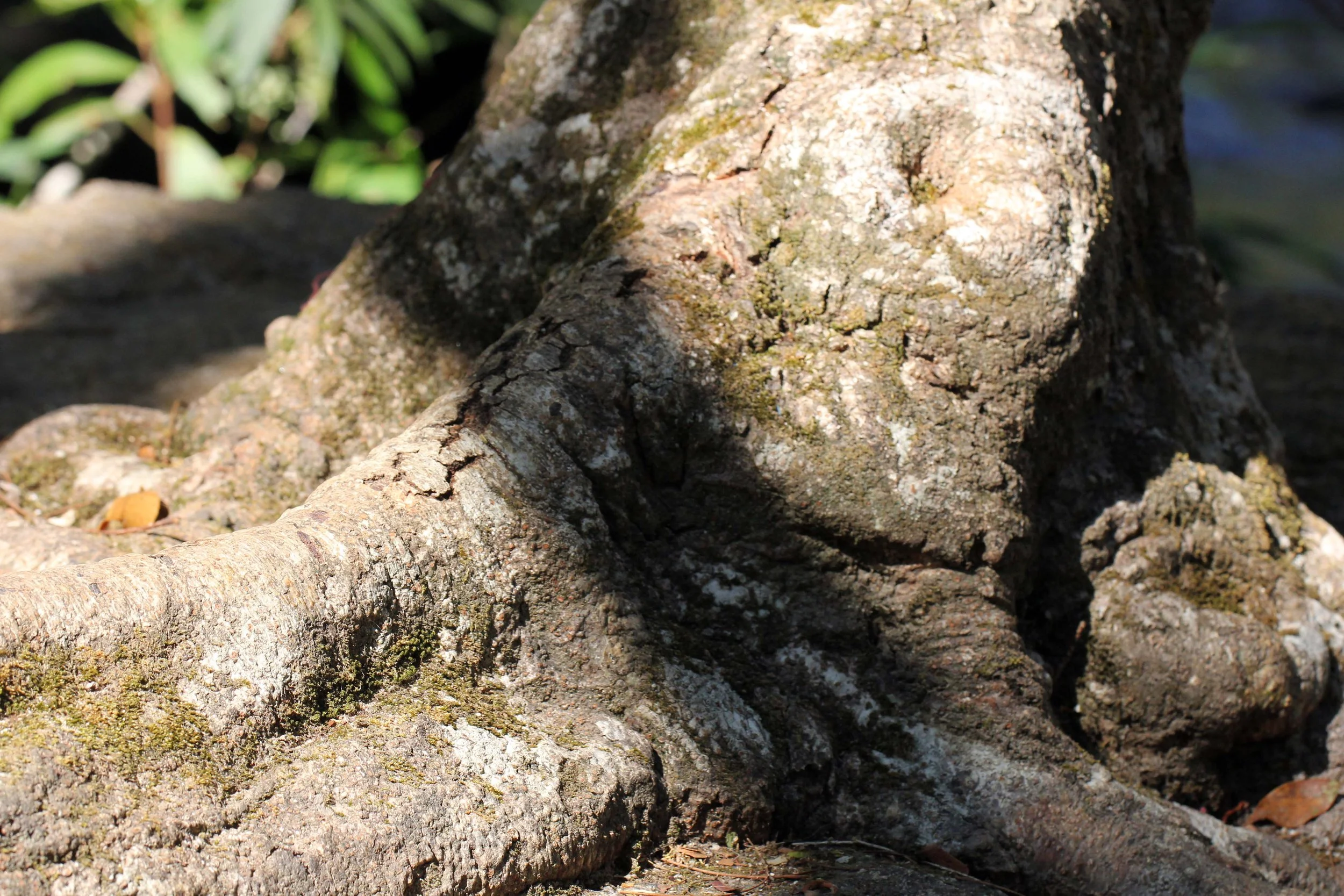 2014 ISB Trip to Tonte Falls in Trang (92).JPG