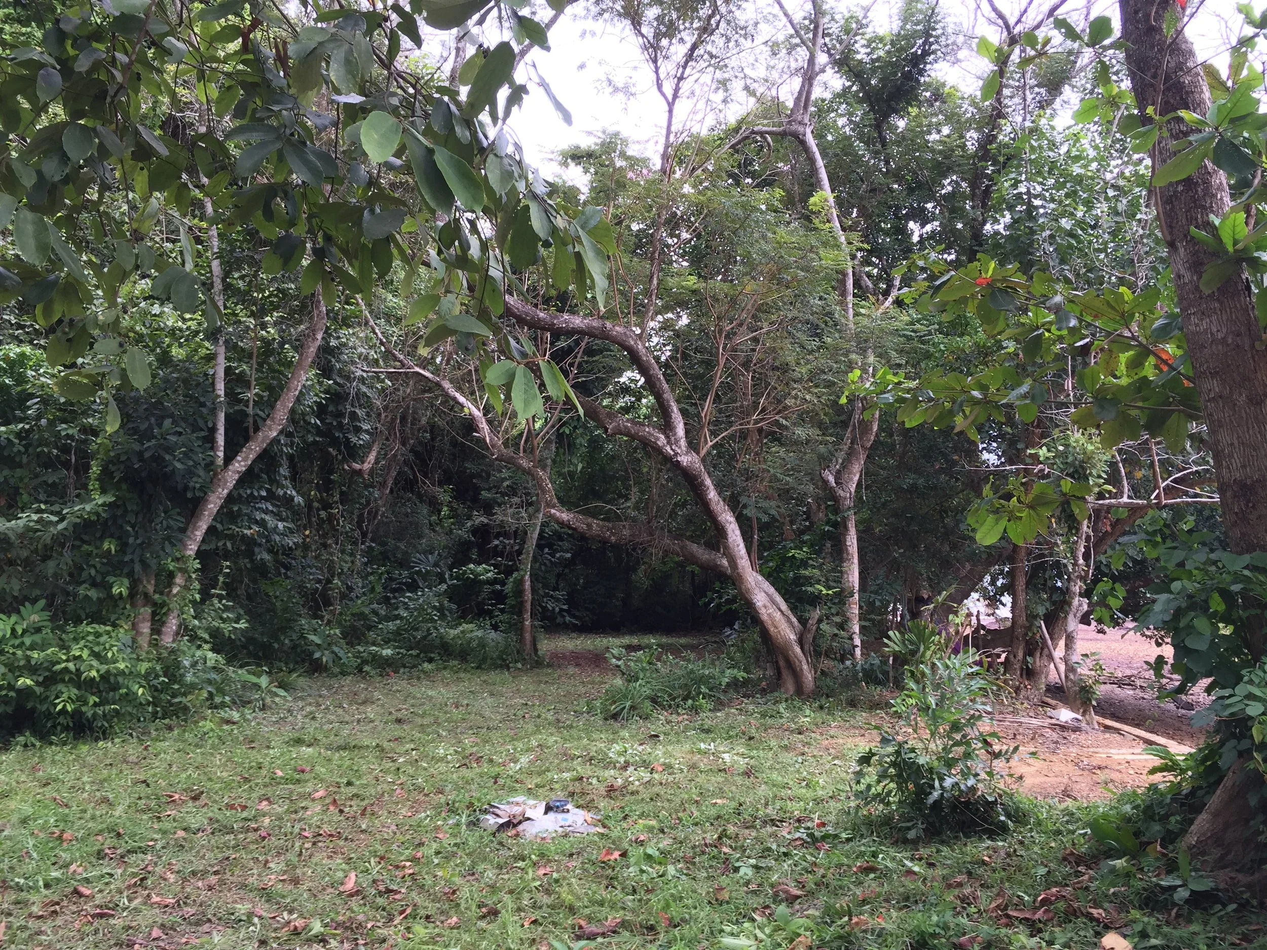 2015 Koh Lanta Garden & Nature (190).JPG
