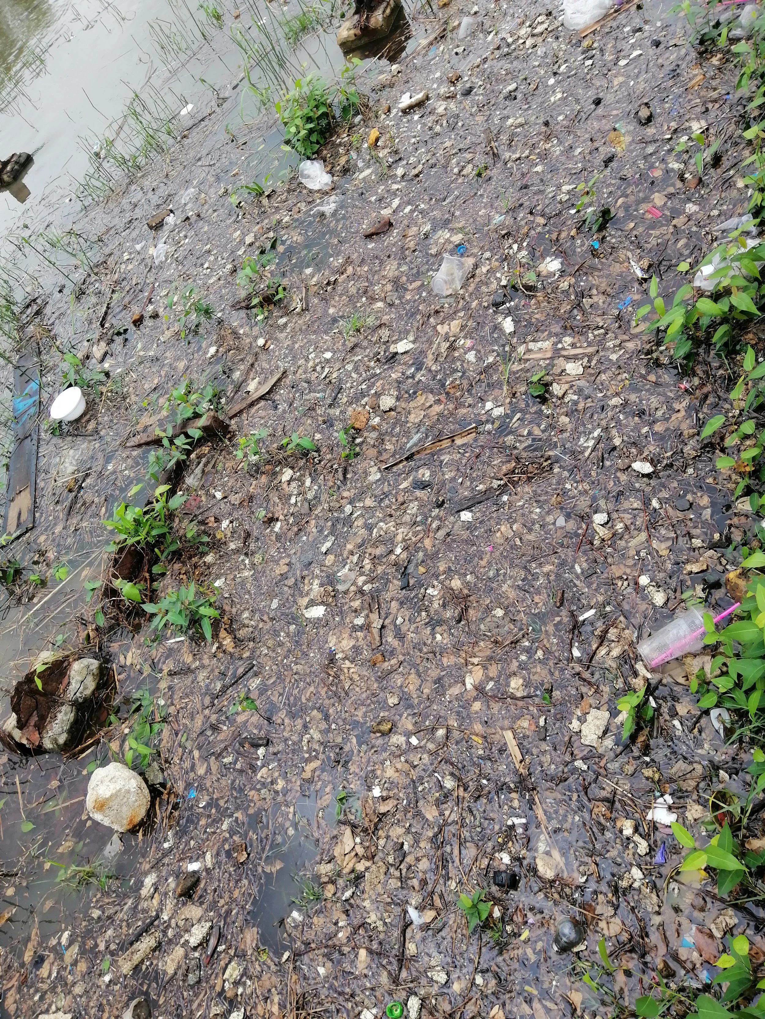 2019 Motorcycle Ride with Cokie to Samut Prakan  (215).jpg