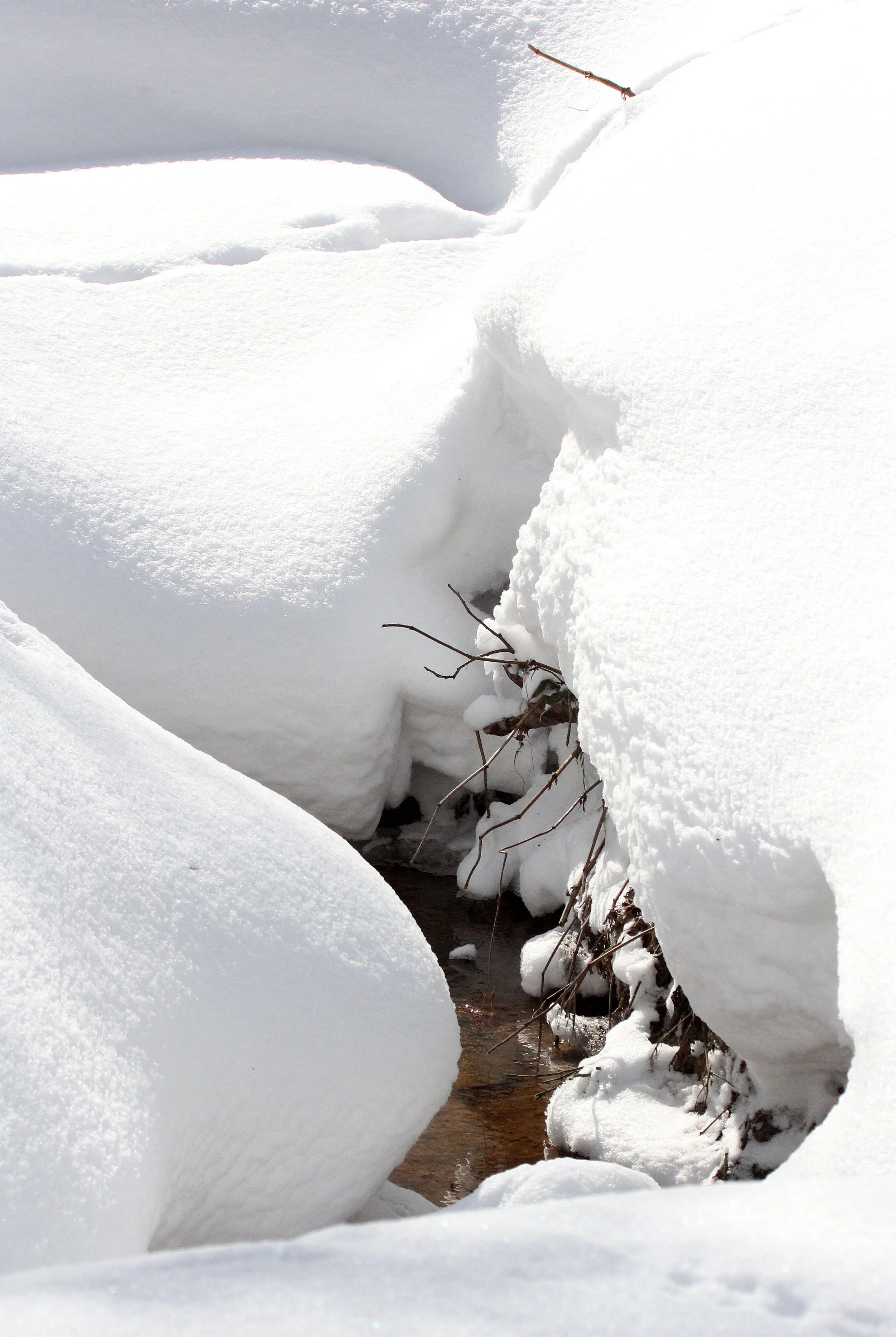 KINOHIROBA PARK - ABASHIRI - HOKKAIDO JAPAN (35).JPG