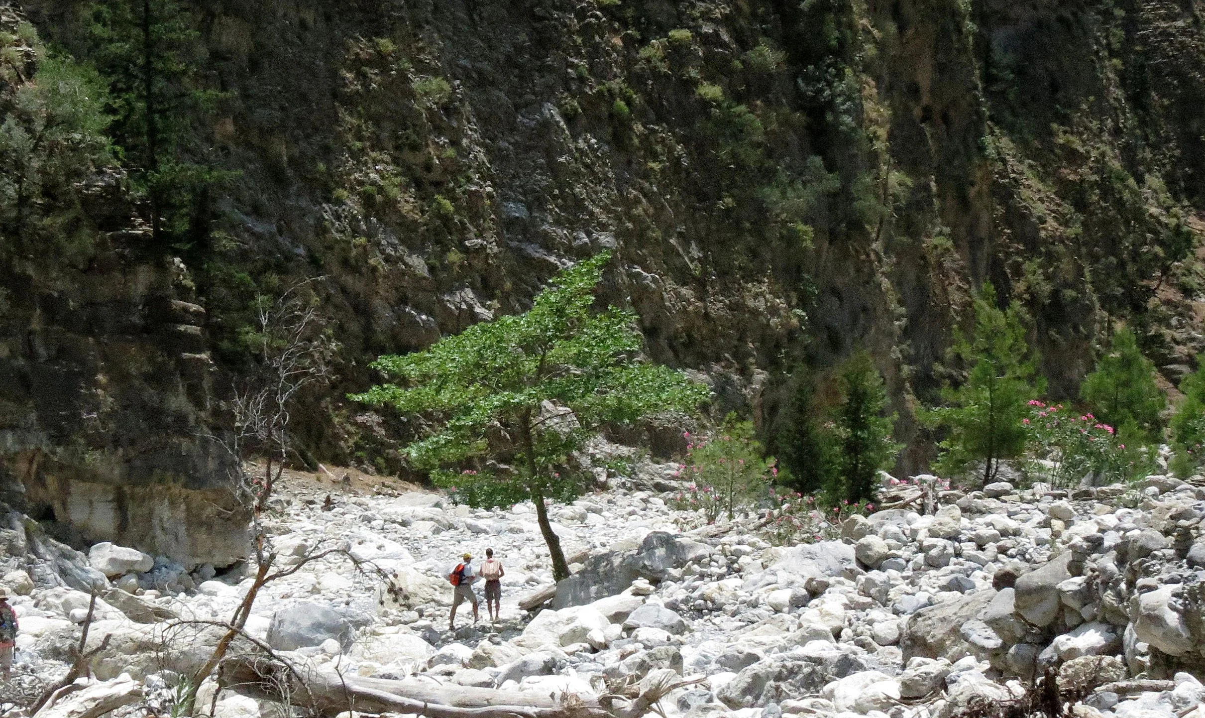 SAMARIA GORGE NATIONAL PARK CRETE, GREECE (15).JPG