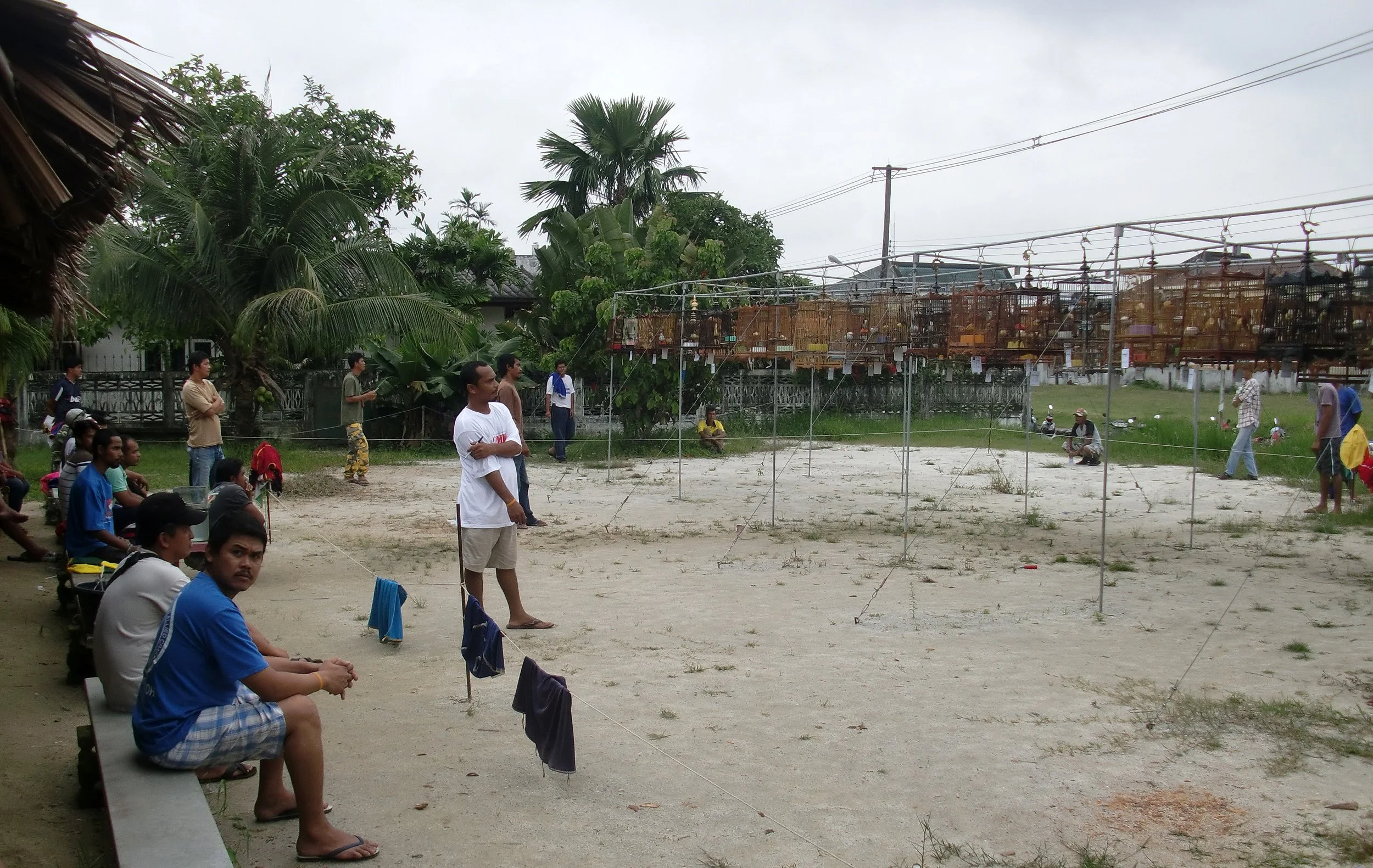 2011 Nakhonsithammarat Winter Trip (4).JPG