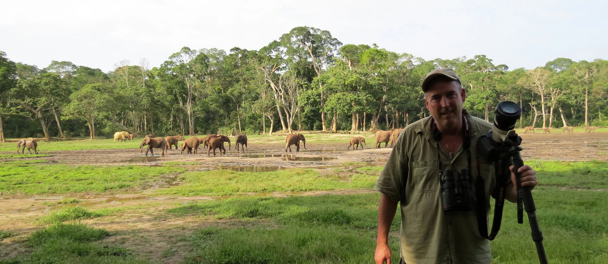 DZANGA NDOKI NATIONAL PARK - CENTRAL AFRICAN REPUBLIC.JPG