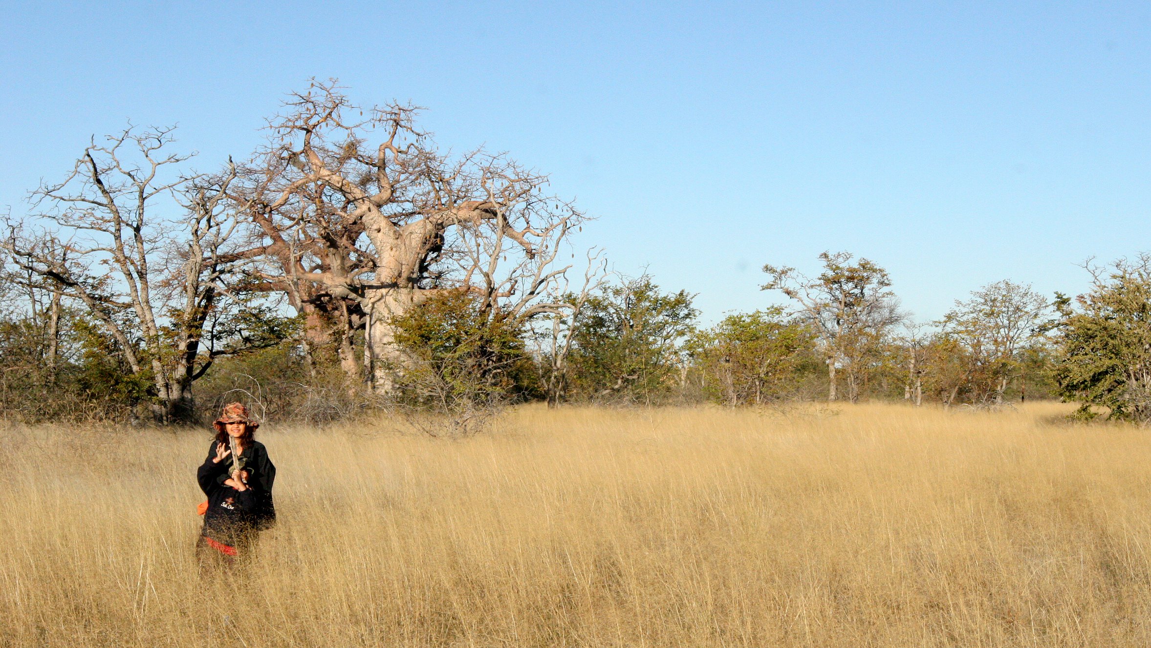 BOTSWANA -KALAHARI DESERT PLANET BAOBAB BOTSWANA (3).JPG