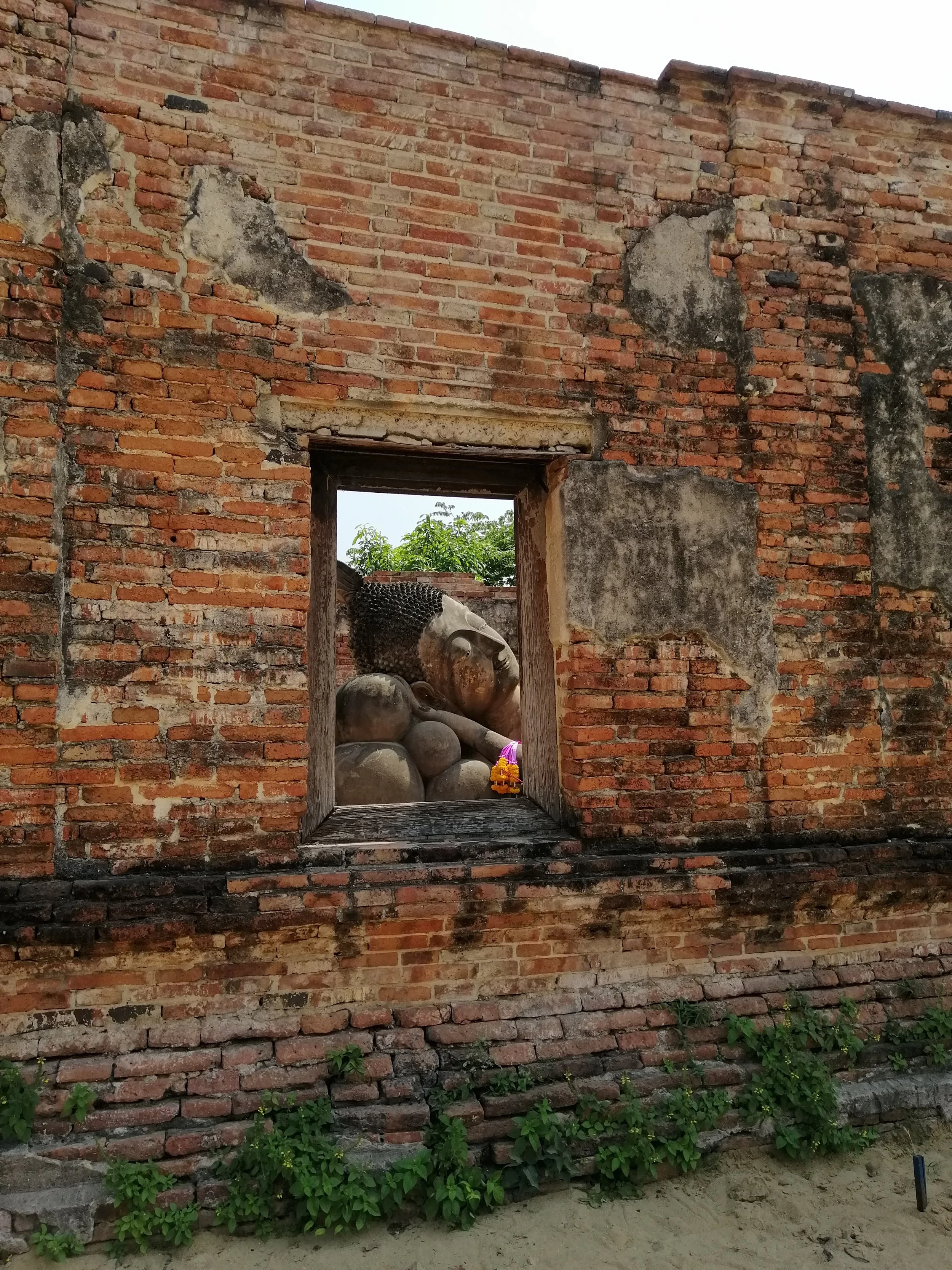 2021 Ayutthaya Trip with Cokie to see Bats too (42).jpg