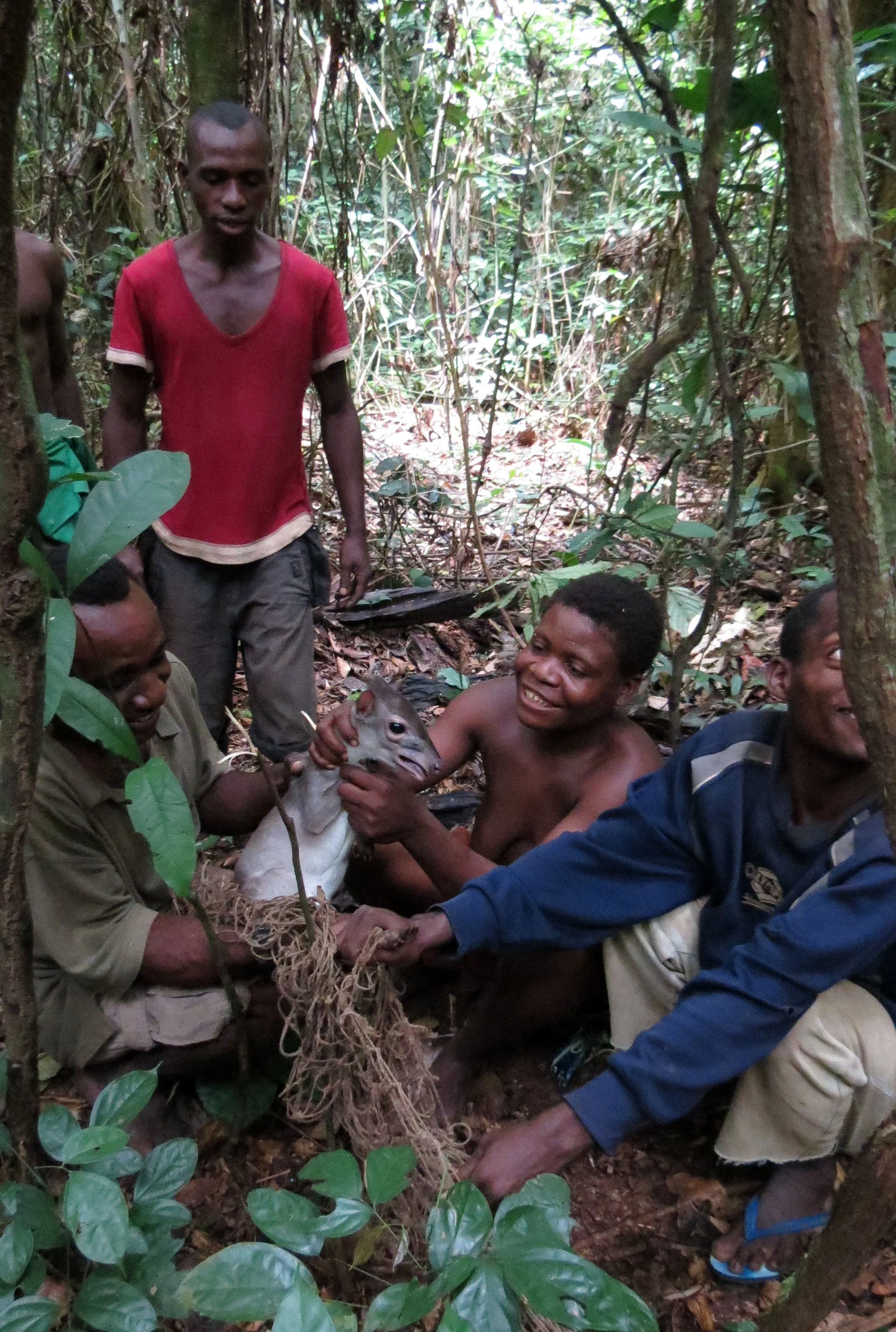 SANGHA RESERVE - BA'AKA HUNT - CENTRAL AFRICAN REPUBLIC (23).JPG