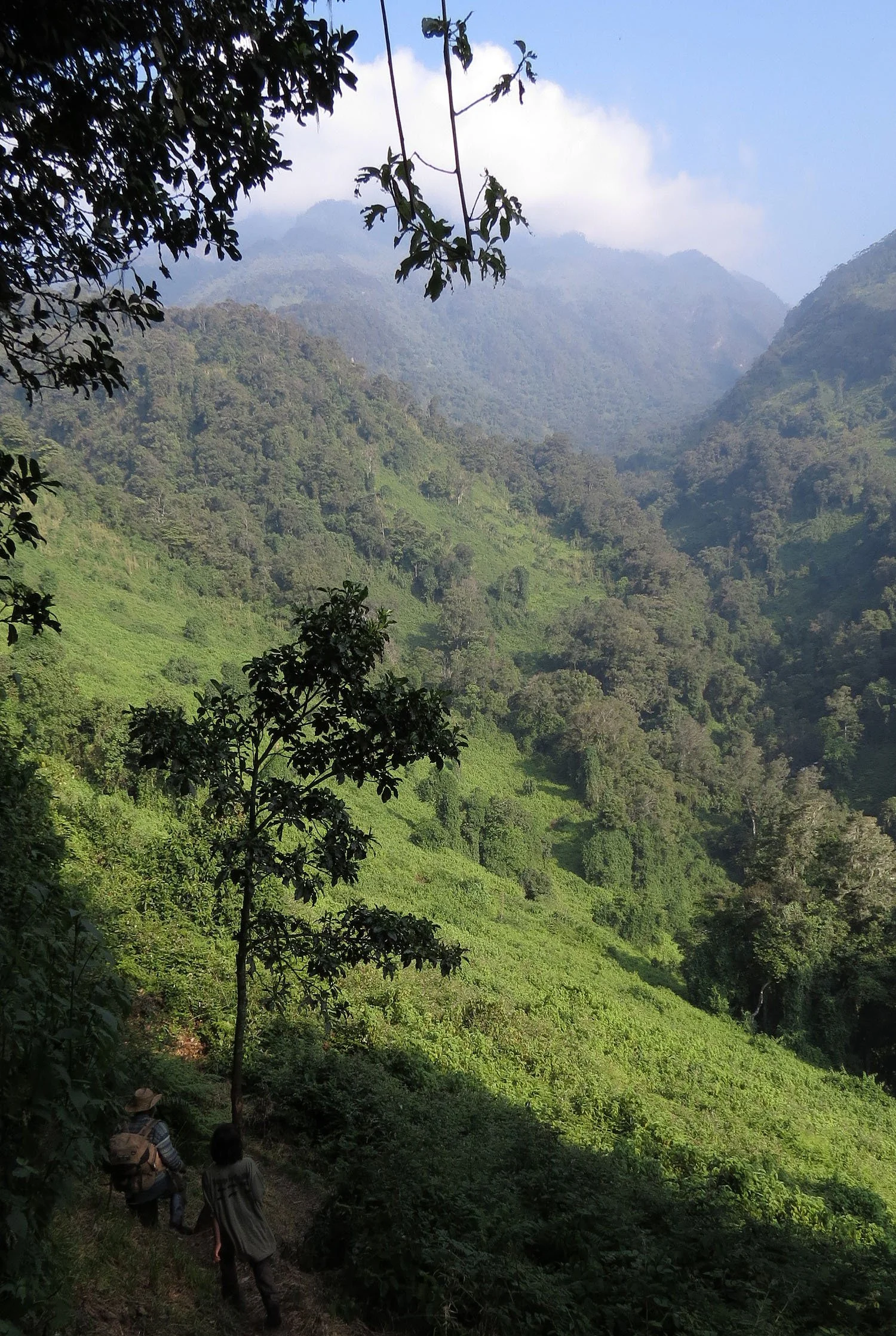 RWENZORI NATIONAL PARK UGANDA (80).JPG