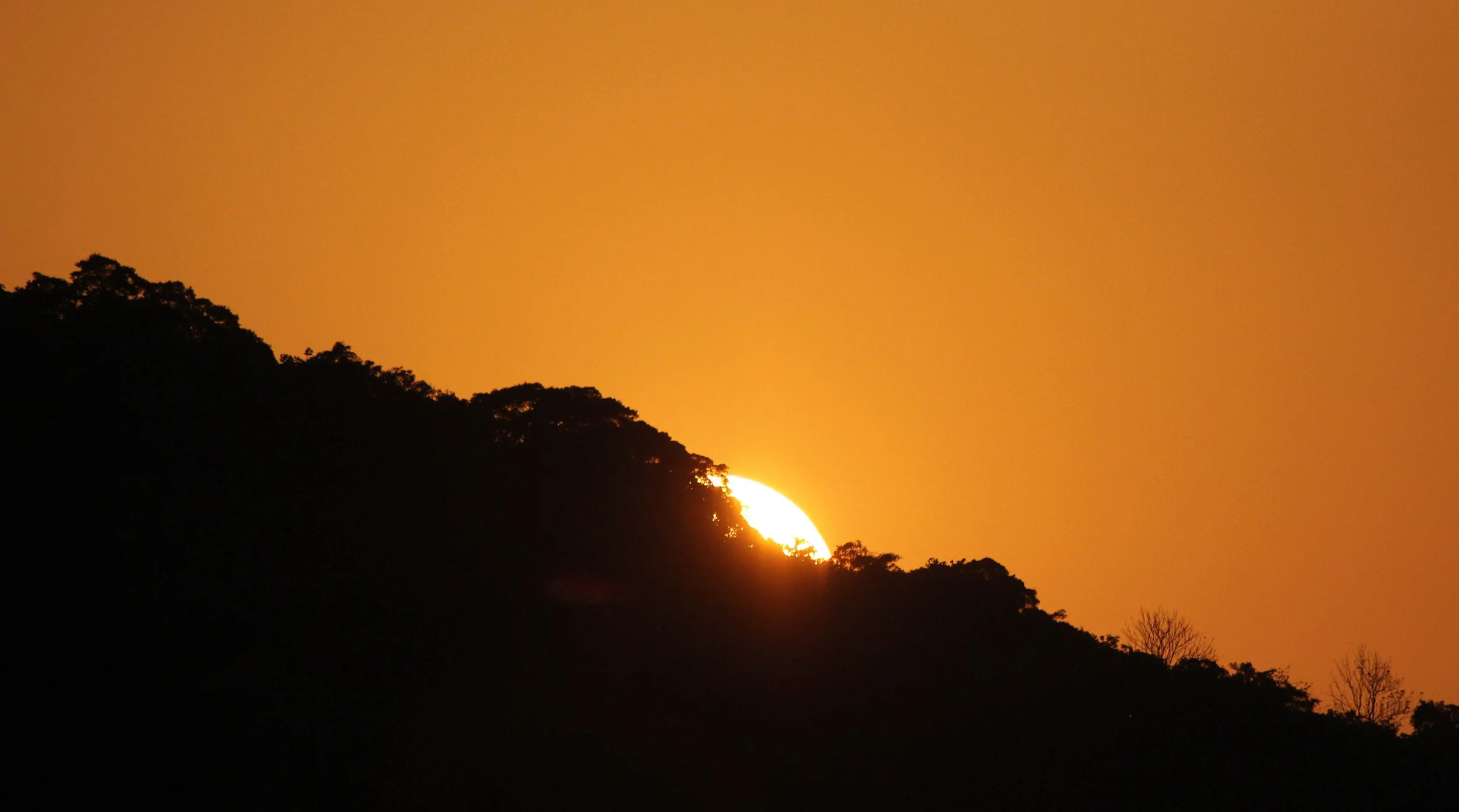 2014 Similan Islands Marine Park Thailand ISB Dive Trip (64).JPG