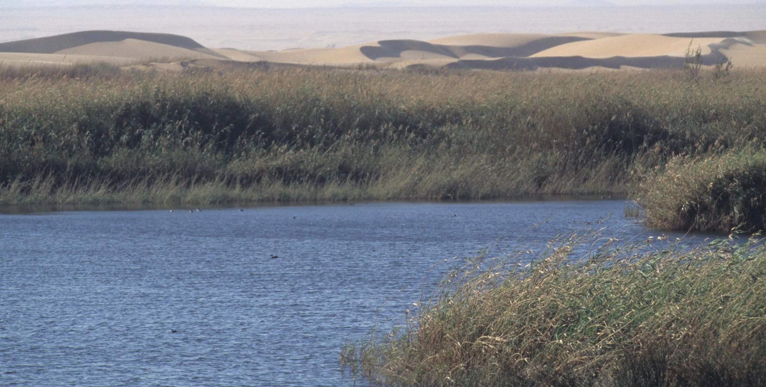 NAMIB DESERT WETLANDS.jpg