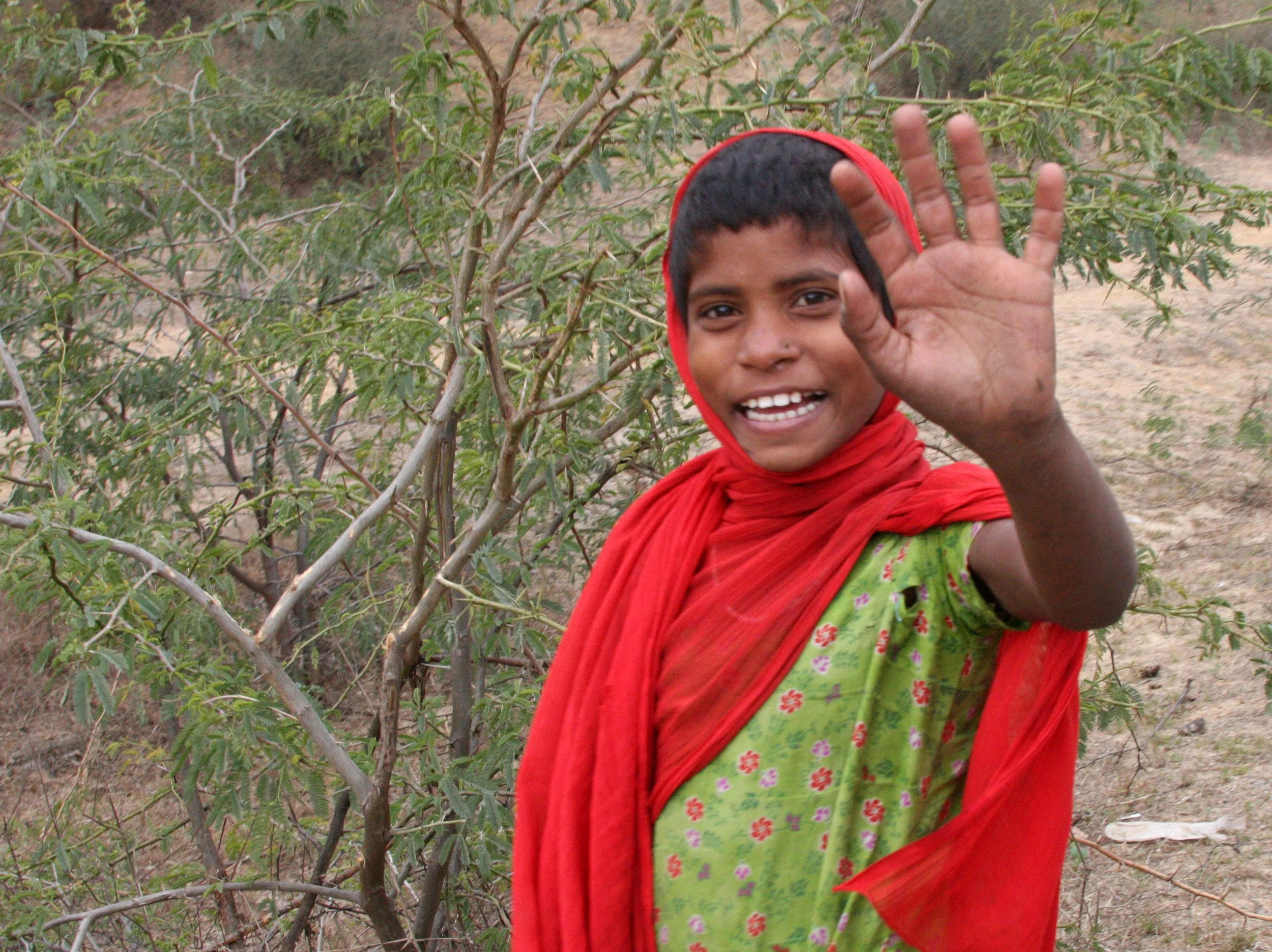 CHAMBAL RIVER SANCTUARY INDIA (6).JPG