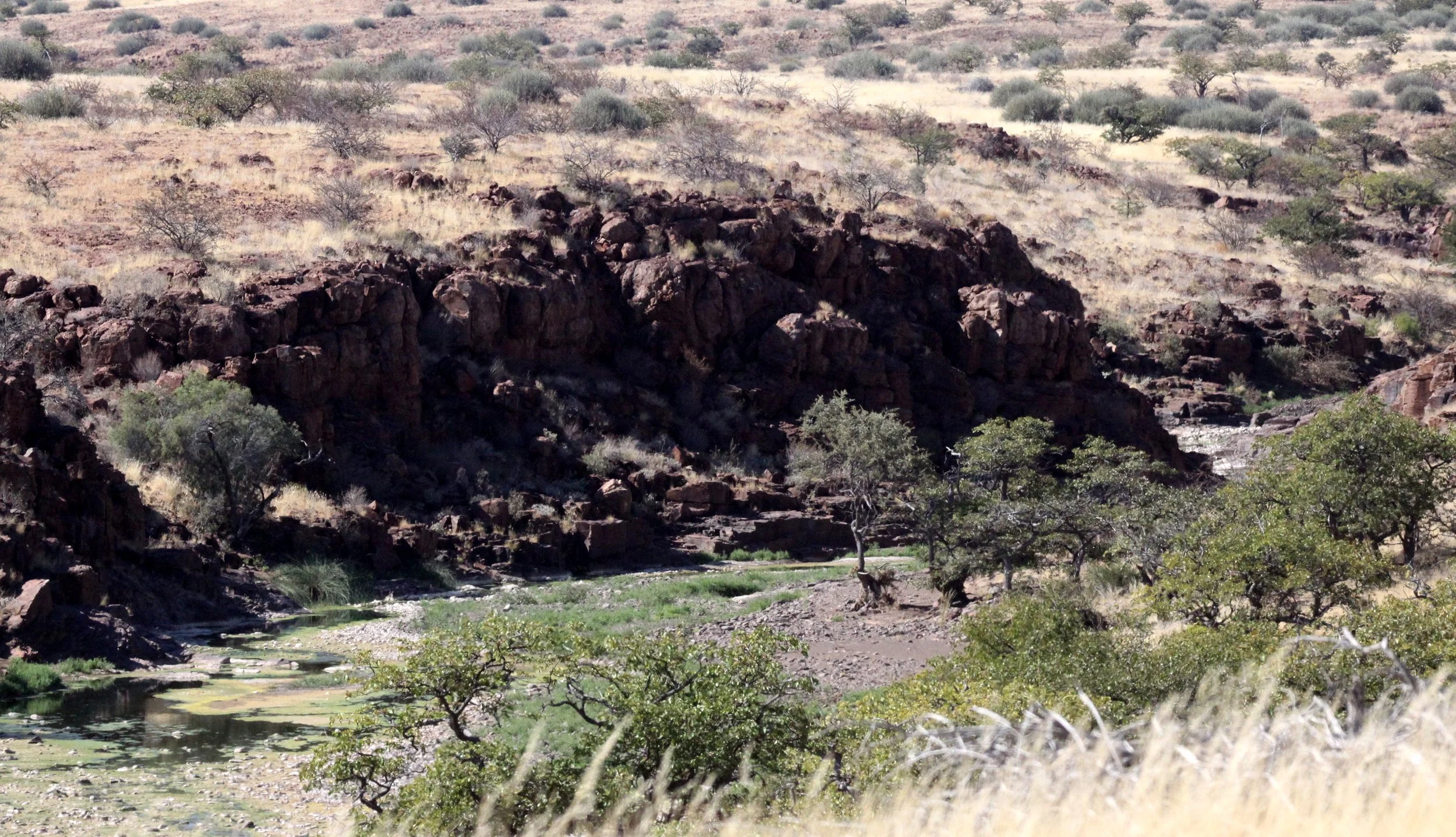 DAMARALAND, NAMIBIA (2).JPG