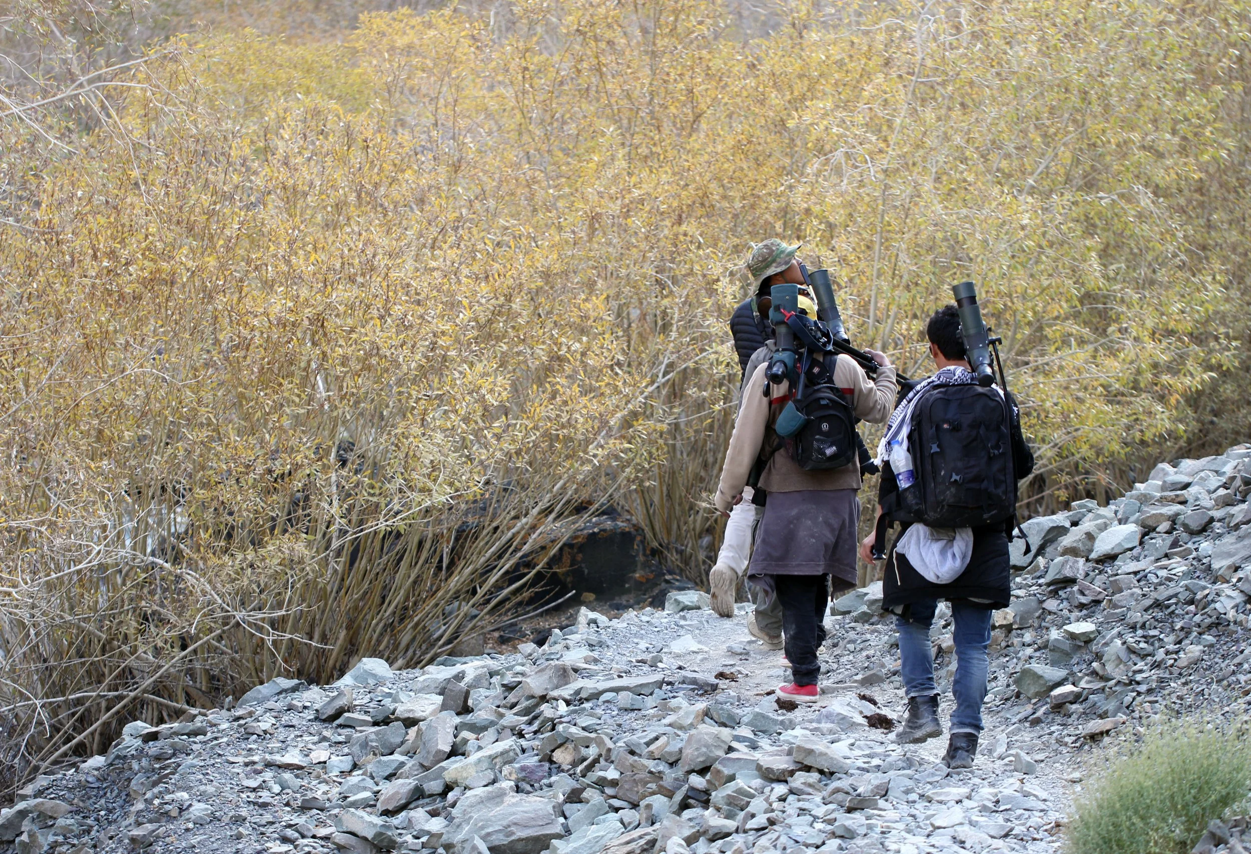 HEMIS NATIONAL PARK - LADAKH INDIA - JAMMU & KASHMIR NEAR RUMBAK VILLAGE (76).JPG