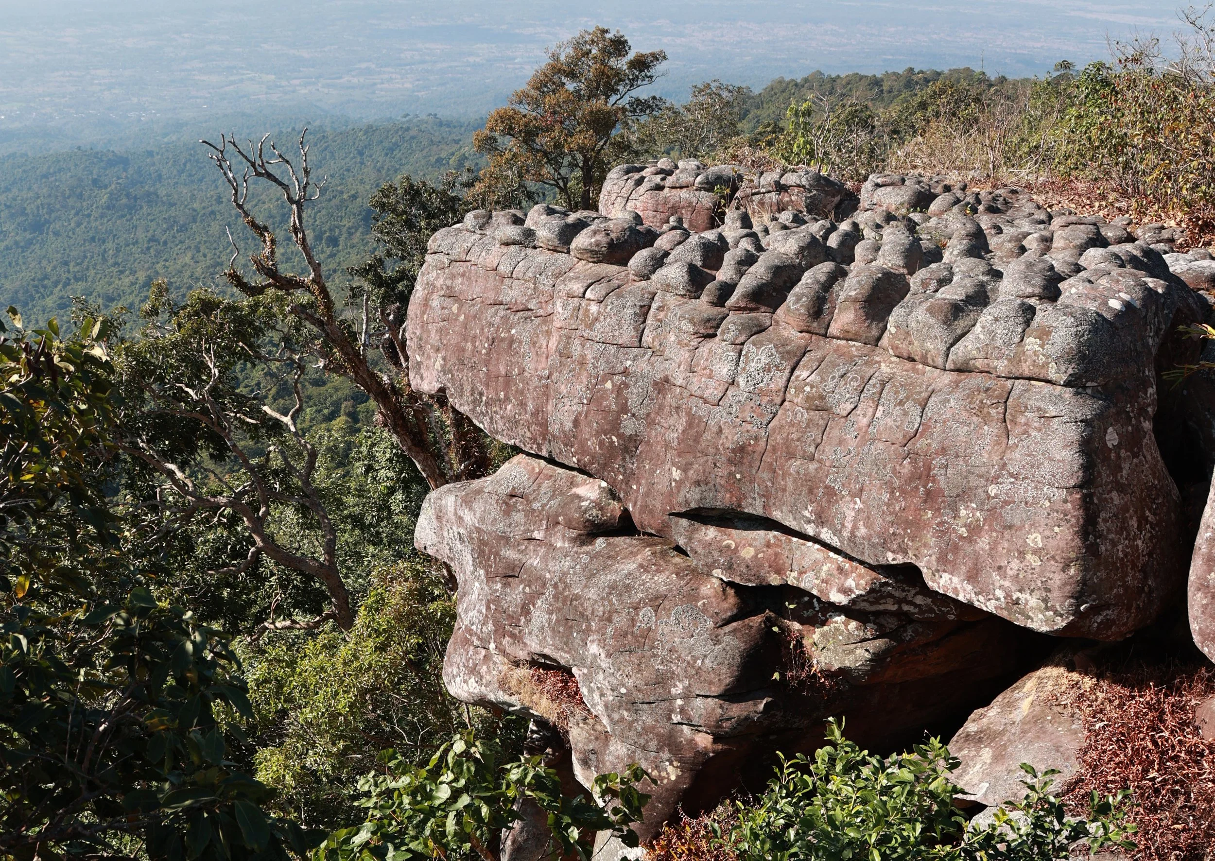 Phu Hin Rong Kla National Park Loei Province (119).jpg