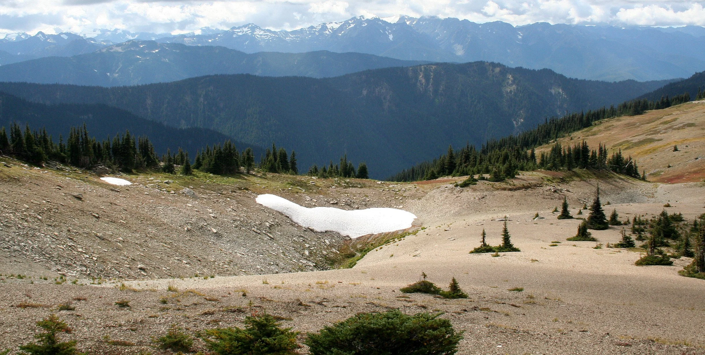 Obstruction Point Olympic National Park  