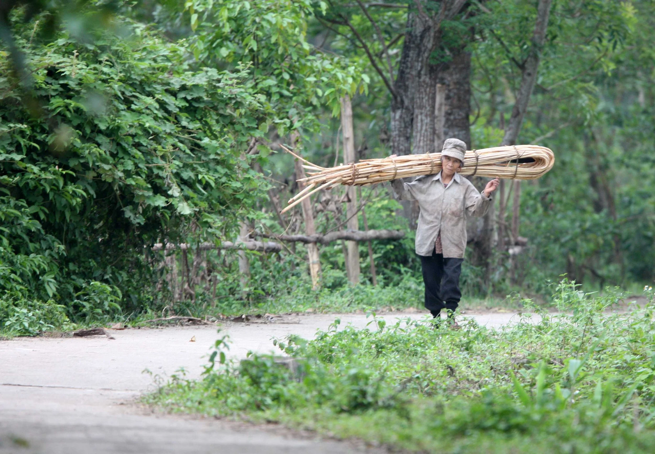 BACH MA NATIONAL PARK AND VICINIT VIET NAM (11).JPG