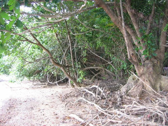 KOH LANTA - PROPERTY - 2005 (81).jpg