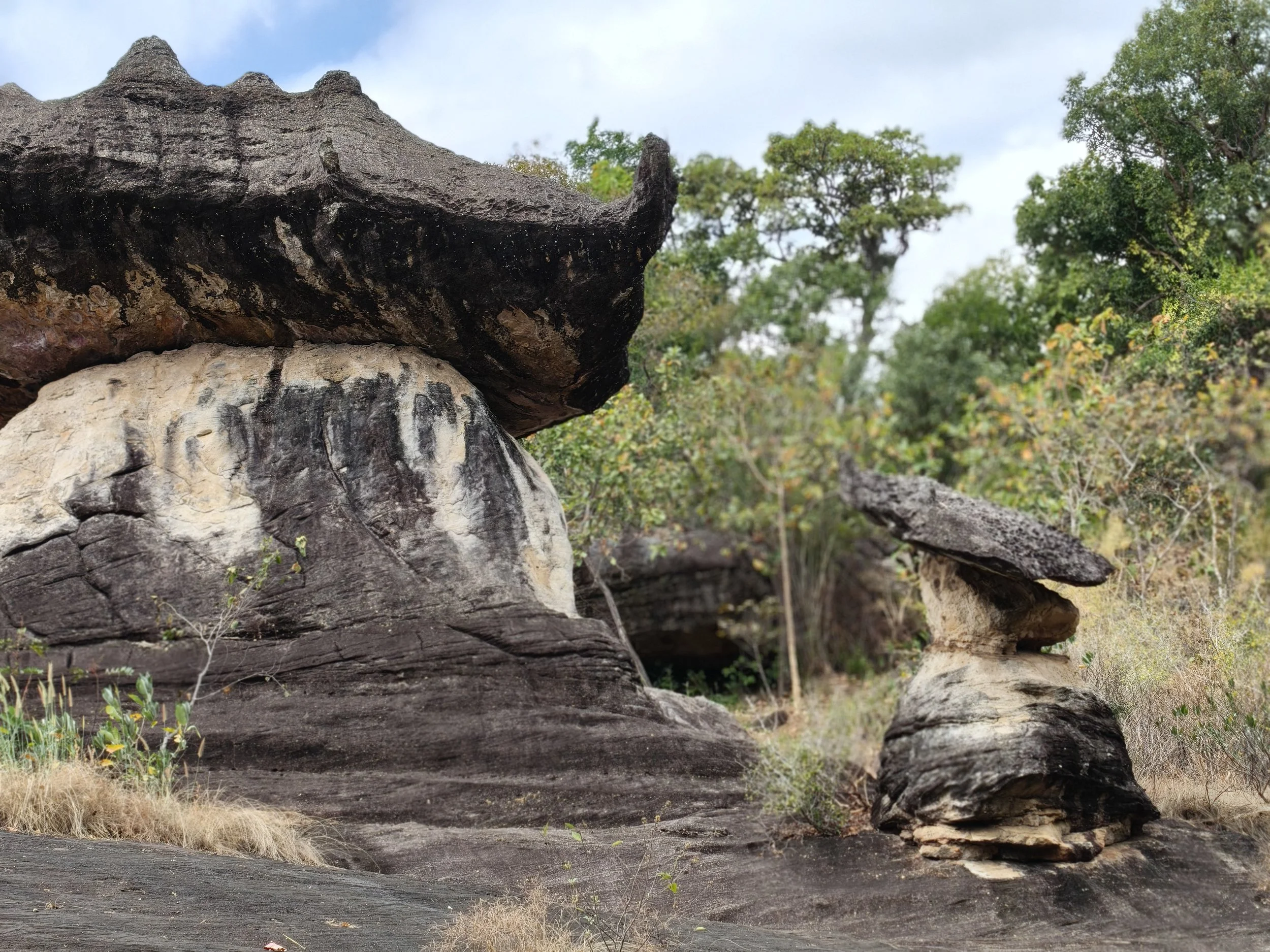  Phu Pha Thoep National Park - Mukdahan Thailand (13).jpg